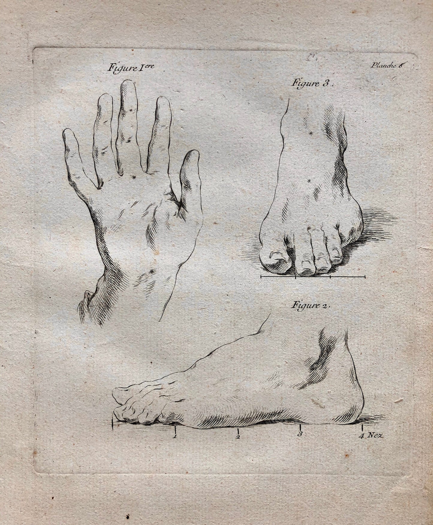An Engraving from The ‘Nouvelle Methode Pour Apprendre a Dessiner Sans Maitre”. French. 1740. Size 29 x23 cms
