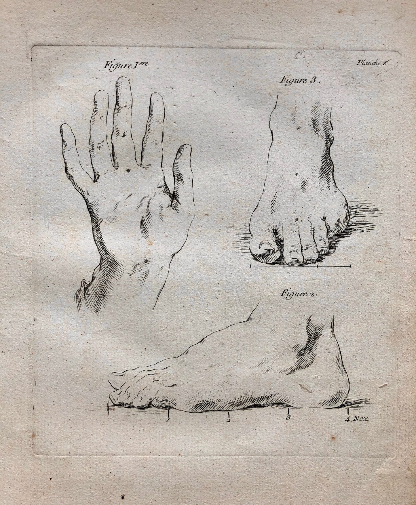 An Engraving from The ‘Nouvelle Methode Pour Apprendre a Dessiner Sans Maitre”. French. 1740. Size 29 x23 cms