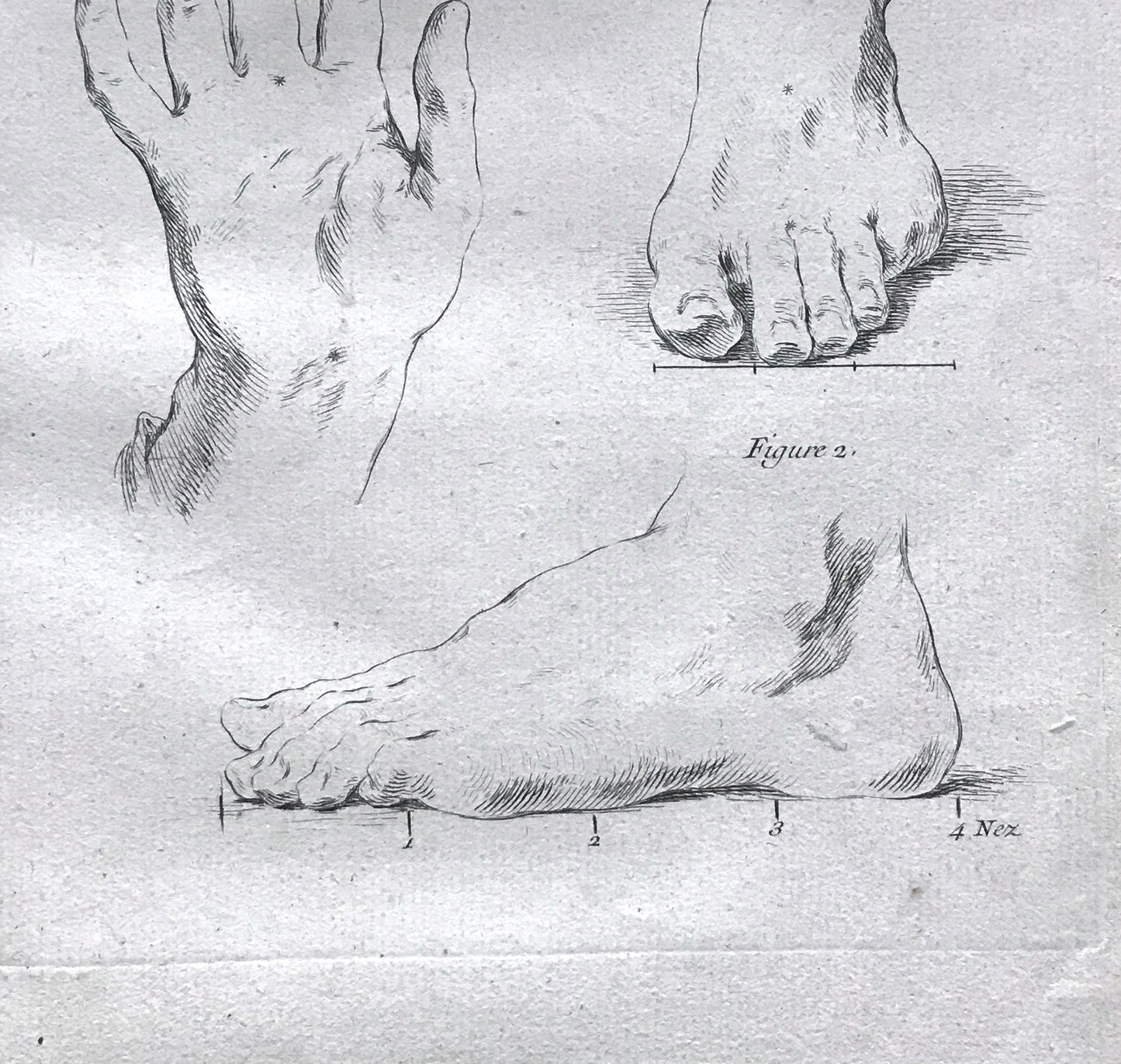 An Engraving from The ‘Nouvelle Methode Pour Apprendre a Dessiner Sans Maitre”. French. 1740. Size 29 x23 cms