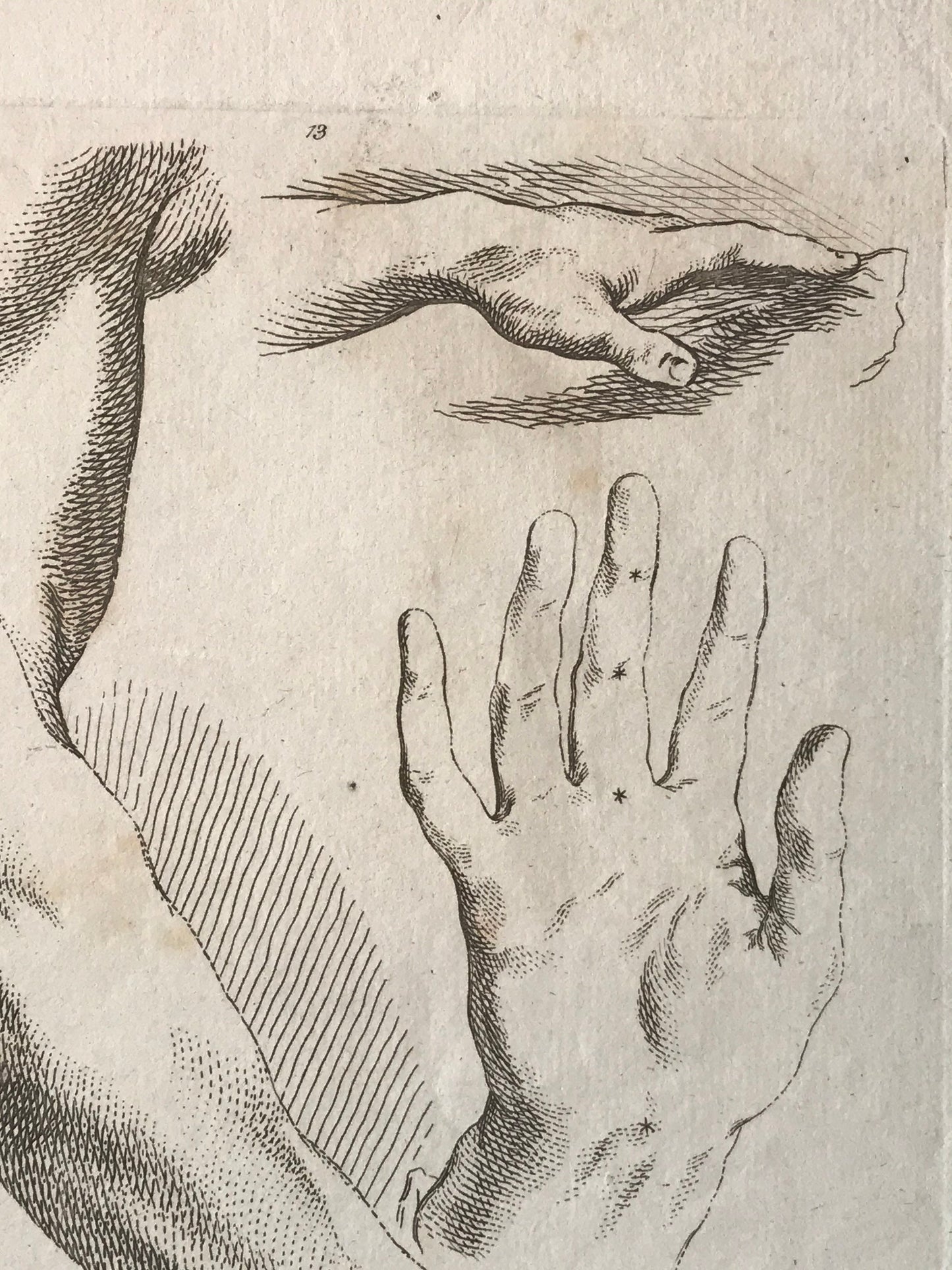 An Engraving from The ‘Nouvelle Methode Pour Apprendre a Dessiner Sans Maitre”. French. 1740. Size 29 x23 cms