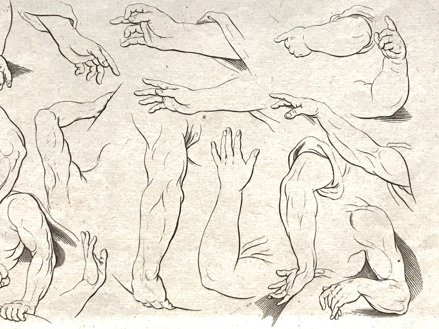 Two Original Engravings from The ‘Nouvelle Methode Pour Apprendre a Dessiner Sans Maitre”. French. 1740. Size 29 x23 cms