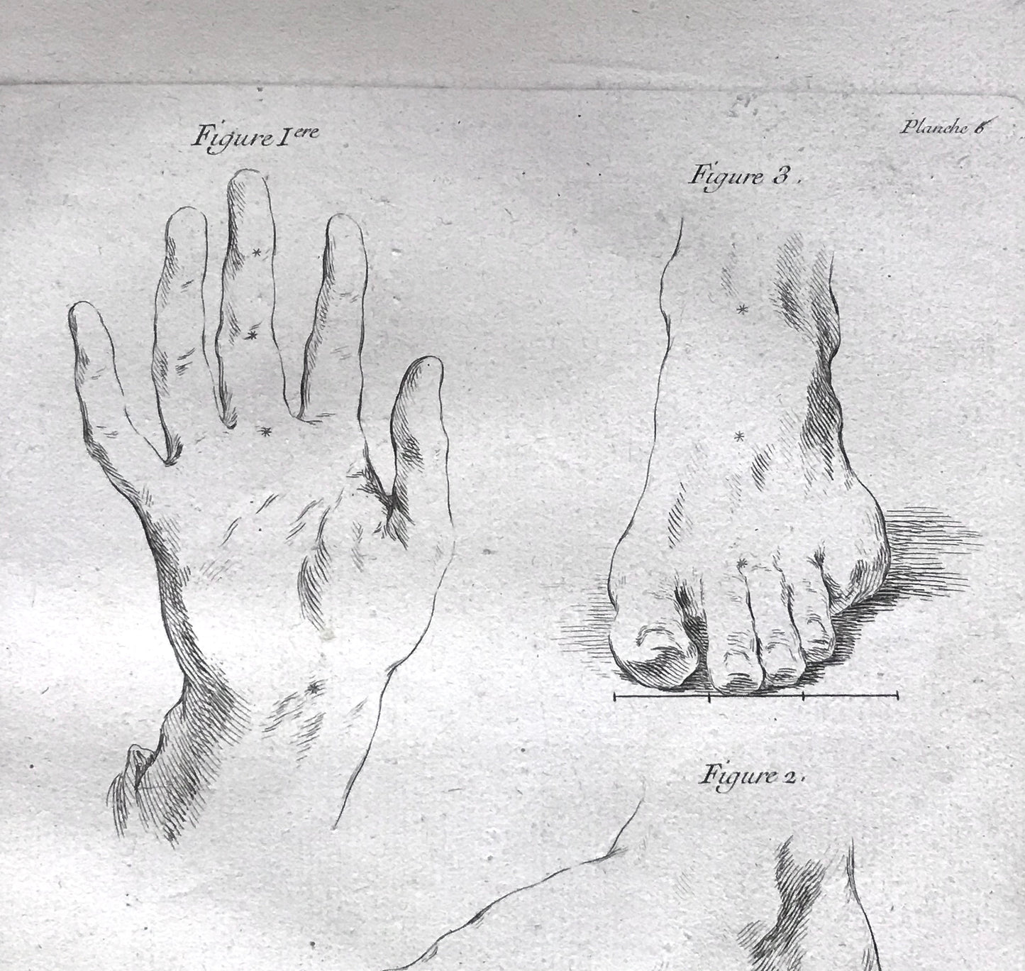 An Engraving from The ‘Nouvelle Methode Pour Apprendre a Dessiner Sans Maitre”. French. 1740. Size 29 x23 cms