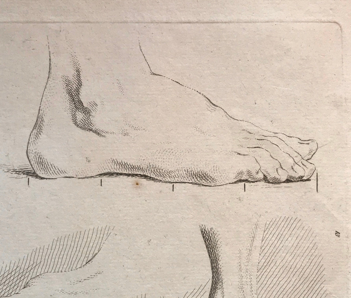 An Engraving from The’Nouvelle Methode Pour Apprendre a Dessiner Sans Maitre”. French. 1740. Size 29 x23 cms