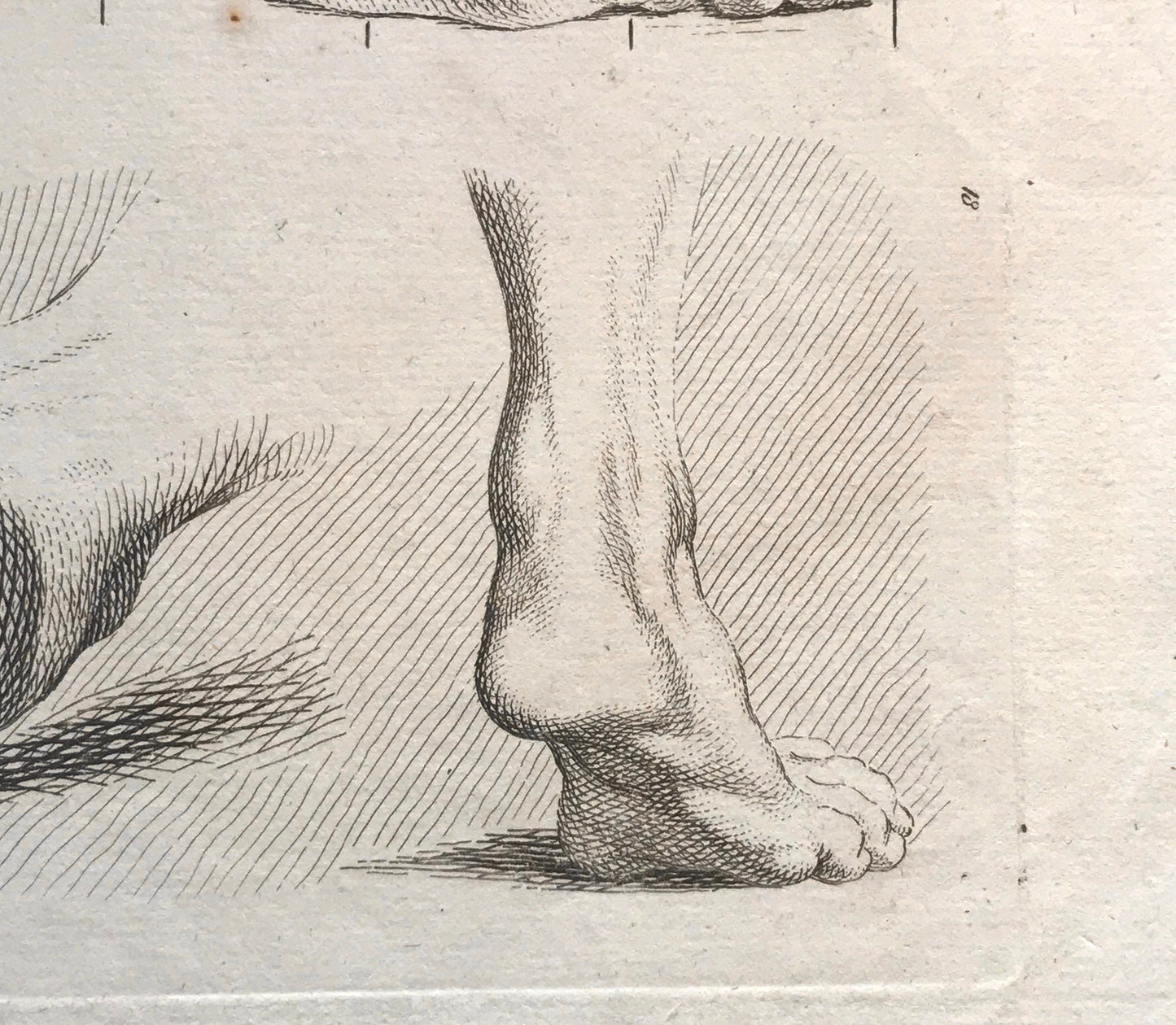 An Engraving from The’Nouvelle Methode Pour Apprendre a Dessiner Sans Maitre”. French. 1740. Size 29 x23 cms