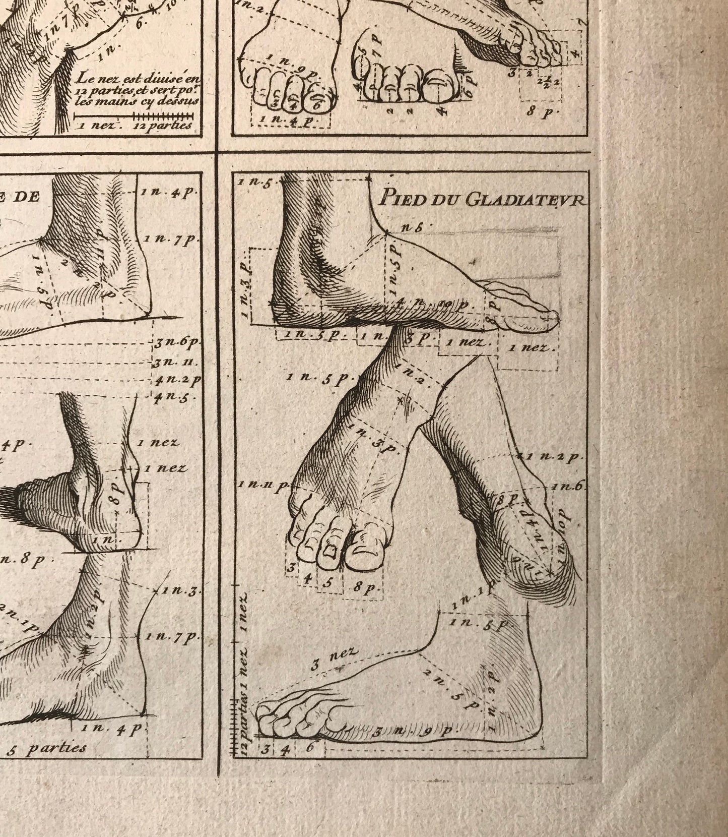 An Engraving from The ‘Nouvelle Methode Pour Apprendre a Dessiner Sans Maitre”. French. 1740. Size 29 x23 cms