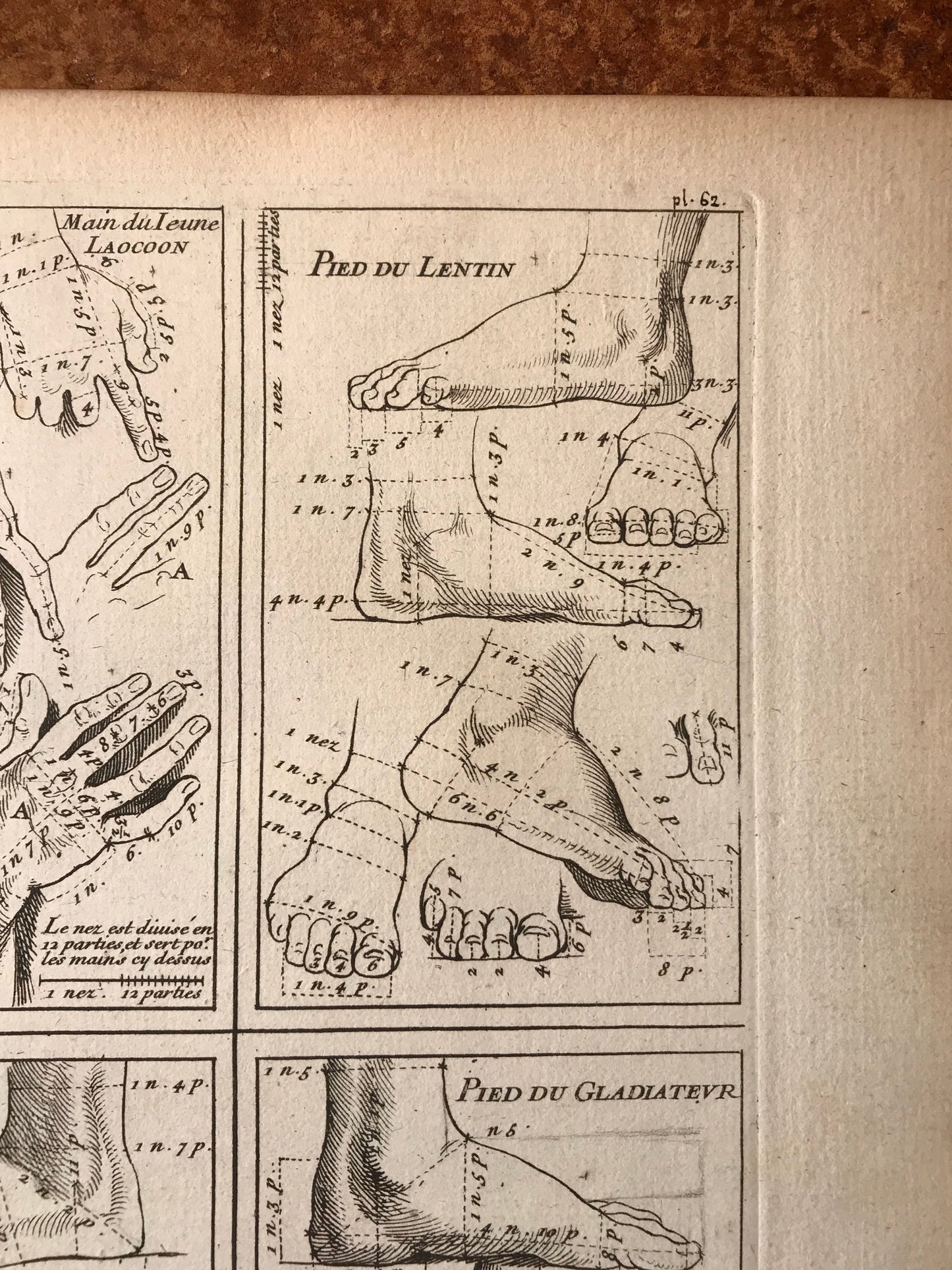 An Engraving from The ‘Nouvelle Methode Pour Apprendre a Dessiner Sans Maitre”. French. 1740. Size 29 x23 cms