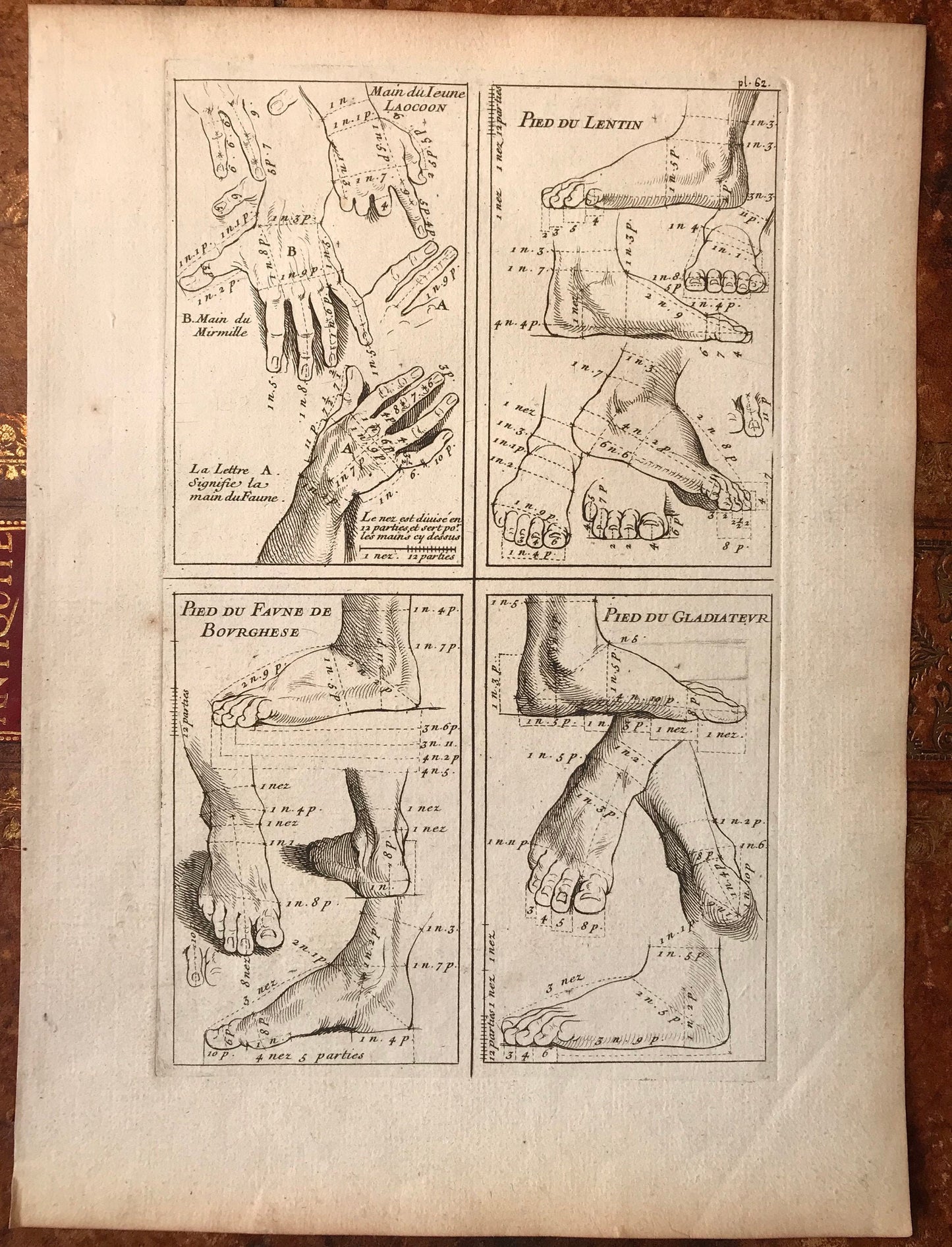 An Engraving from The ‘Nouvelle Methode Pour Apprendre a Dessiner Sans Maitre”. French. 1740. Size 29 x23 cms