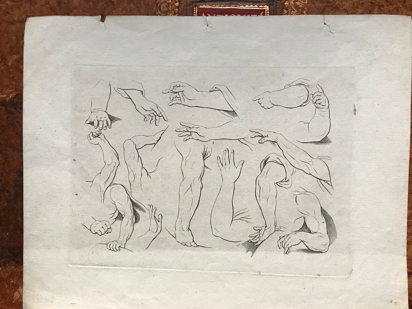 Two Original Engravings from The ‘Nouvelle Methode Pour Apprendre a Dessiner Sans Maitre”. French. 1740. Size 29 x23 cms