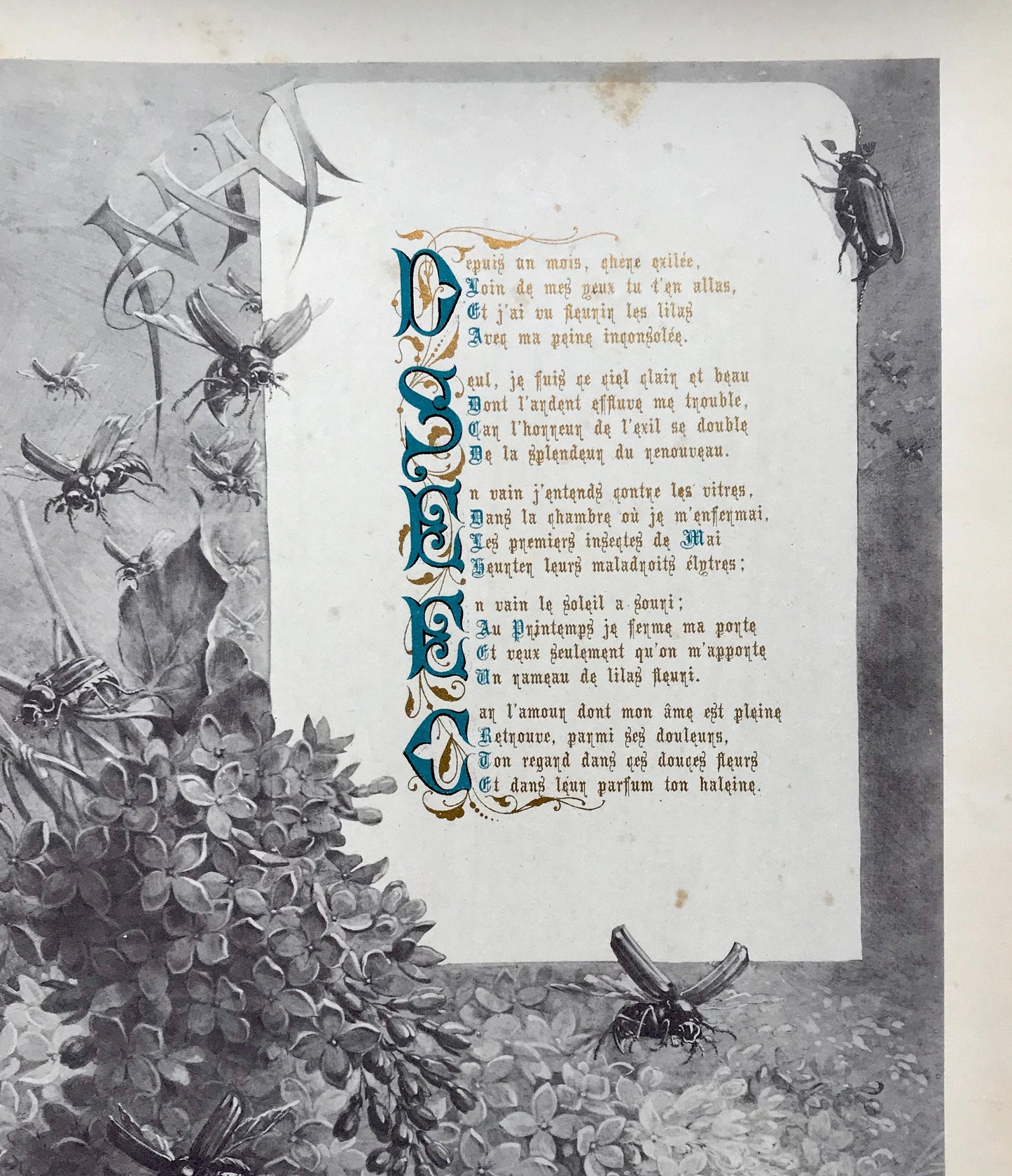 Les Mois. The Months. A Collection of 12 Illustrated Poems by Francois Coppee. Engravings by H. Giacamelli. Large format: 54 x 37 cms.