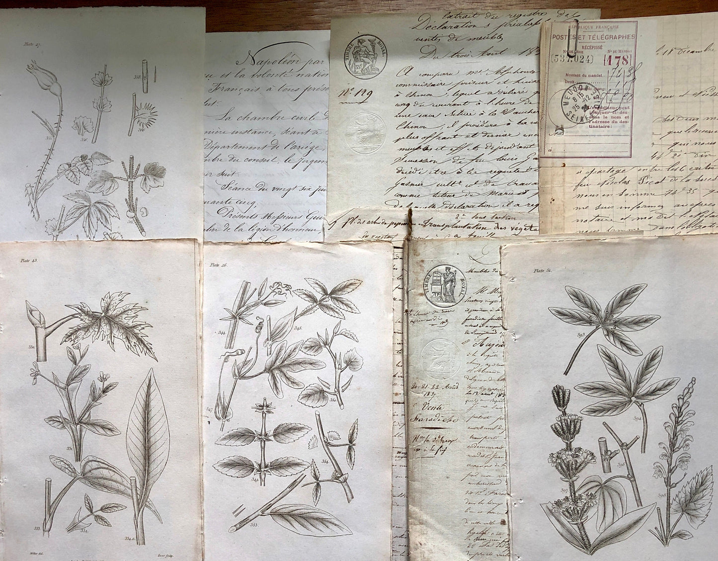 A Generous Quantity of Antique French Papers, Cards and Engravings. 1800’s and 1900’s. For collage and decorative purposes.