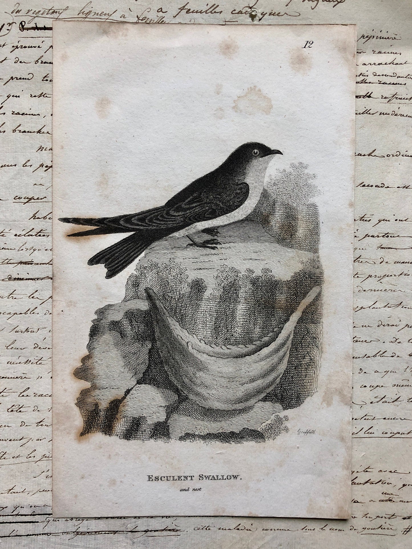A Generous Quantity of Antique French Papers, Cards and Engravings. 1800’s and 1900’s. For collage and decorative purposes.