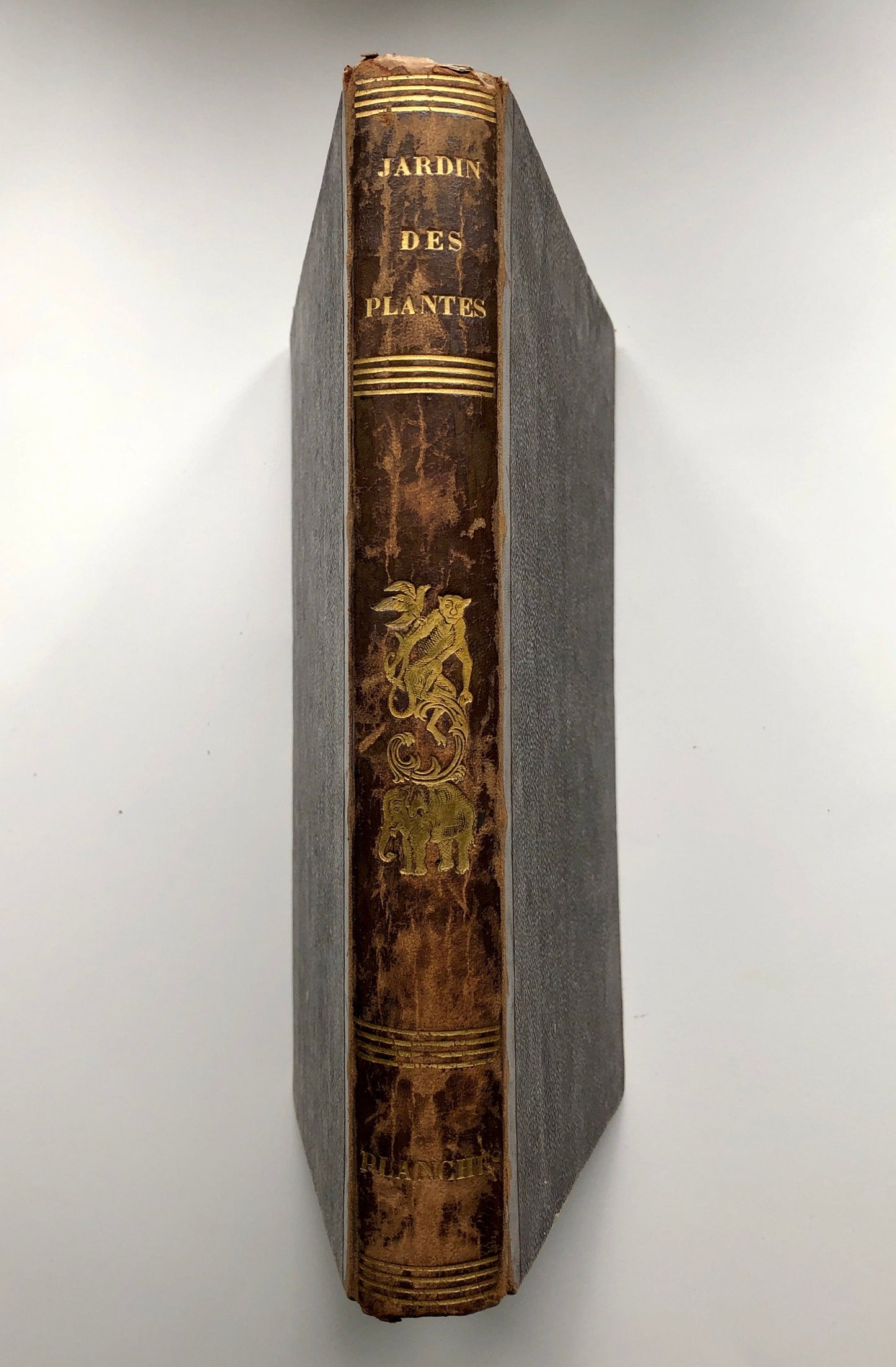 Le Jardin Des Plantes by L. Curmer. A book of 145 engravings from The Garden of Plants, Paris. Dated 1842. Size: 26.5 x 18 cms.