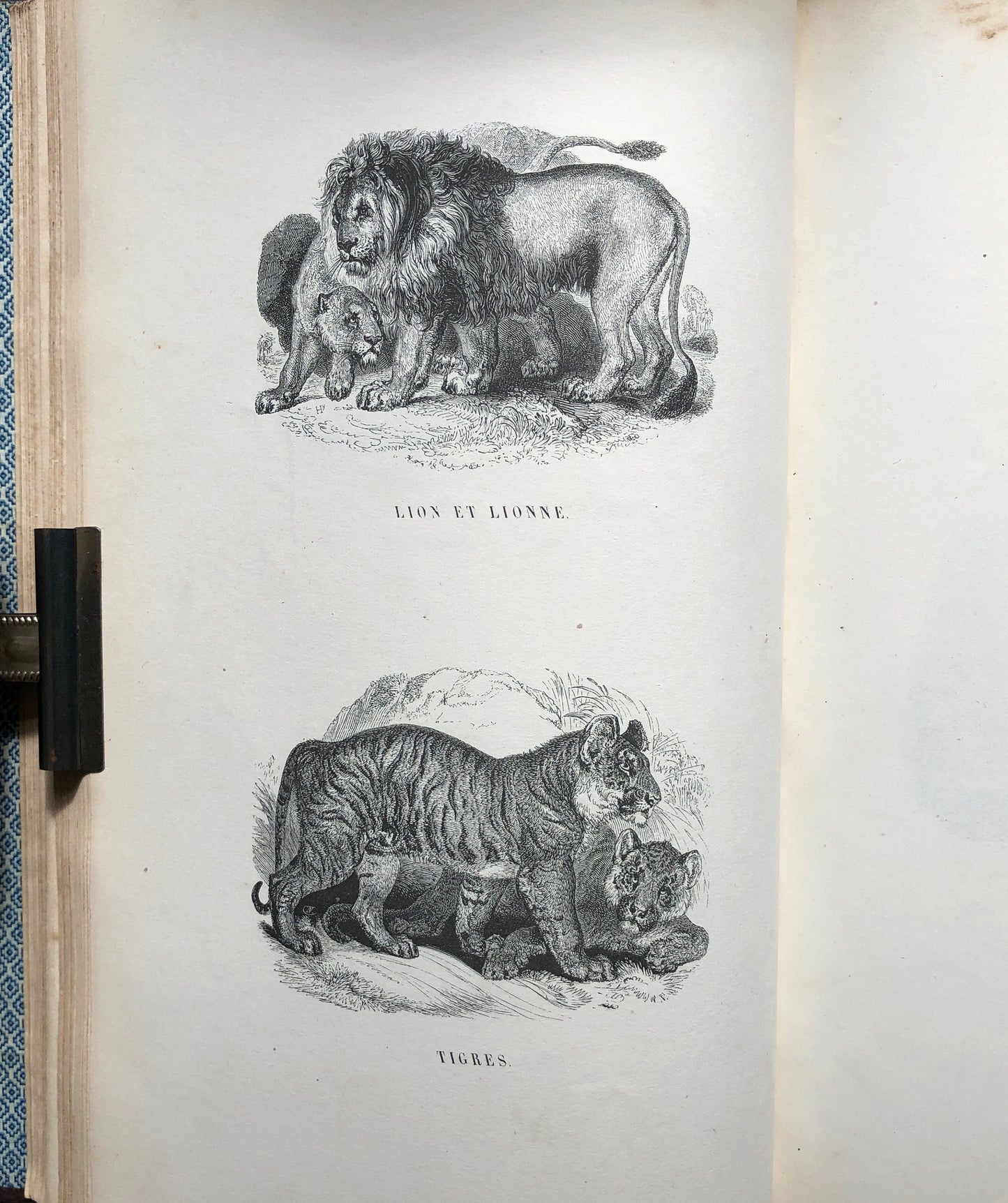 Le Jardin Des Plantes by L. Curmer. A book of 145 engravings from The Garden of Plants, Paris. Dated 1842. Size: 26.5 x 18 cms.