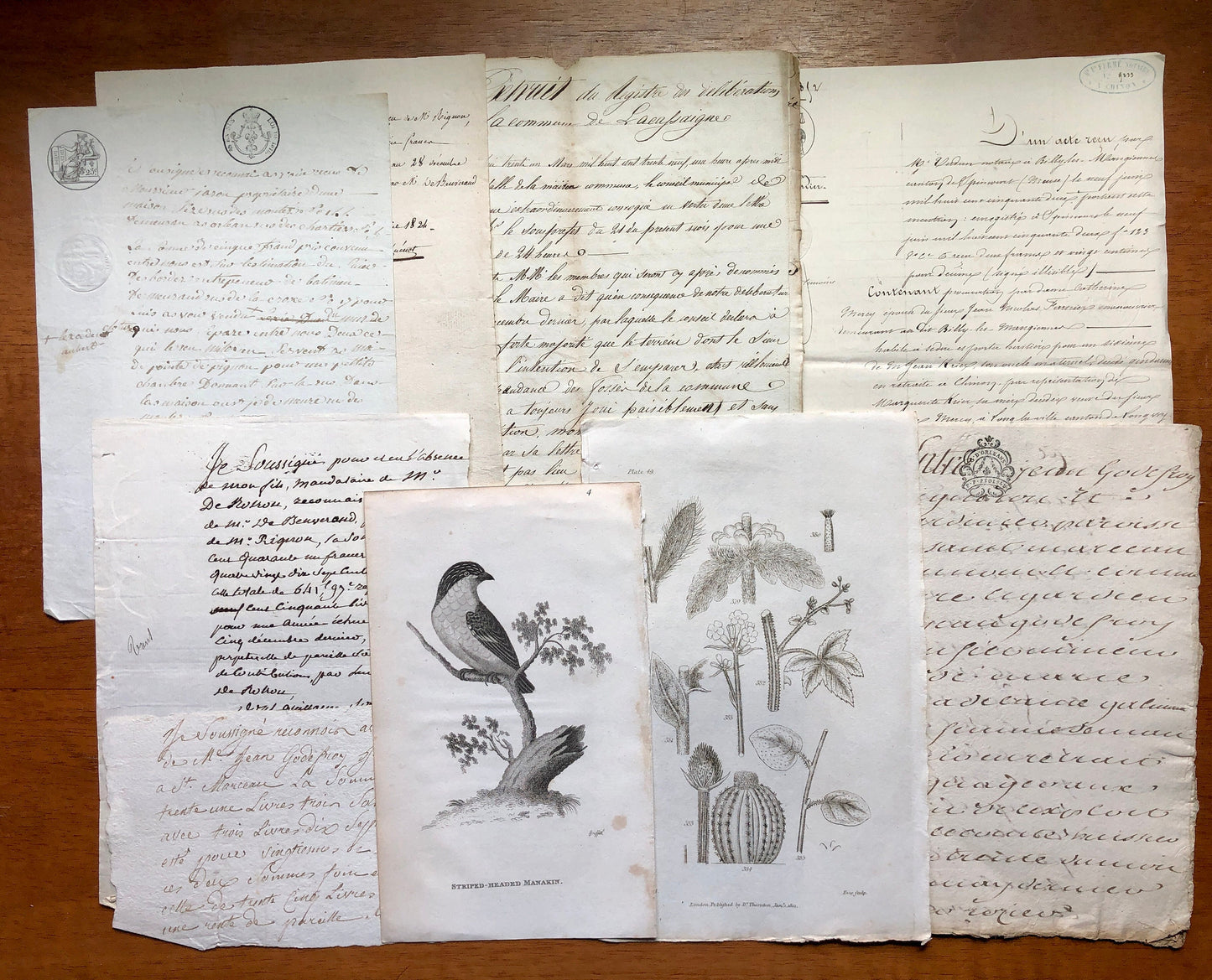 A Generous Quantity of Antique French Papers, Cards and Engravings. 1800’s and 1900’s. For collage and decorative purposes.