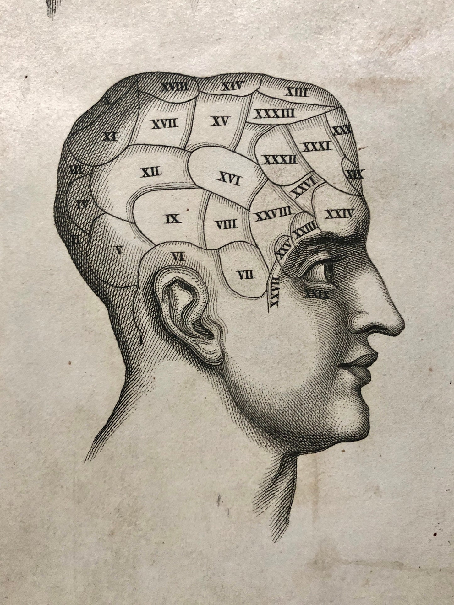 Two Engravings From Craniology Burlesqued in Serio-comic Lectures. Published by Effingham Wilson in 1818. Size: 22.5 x 13 cms.