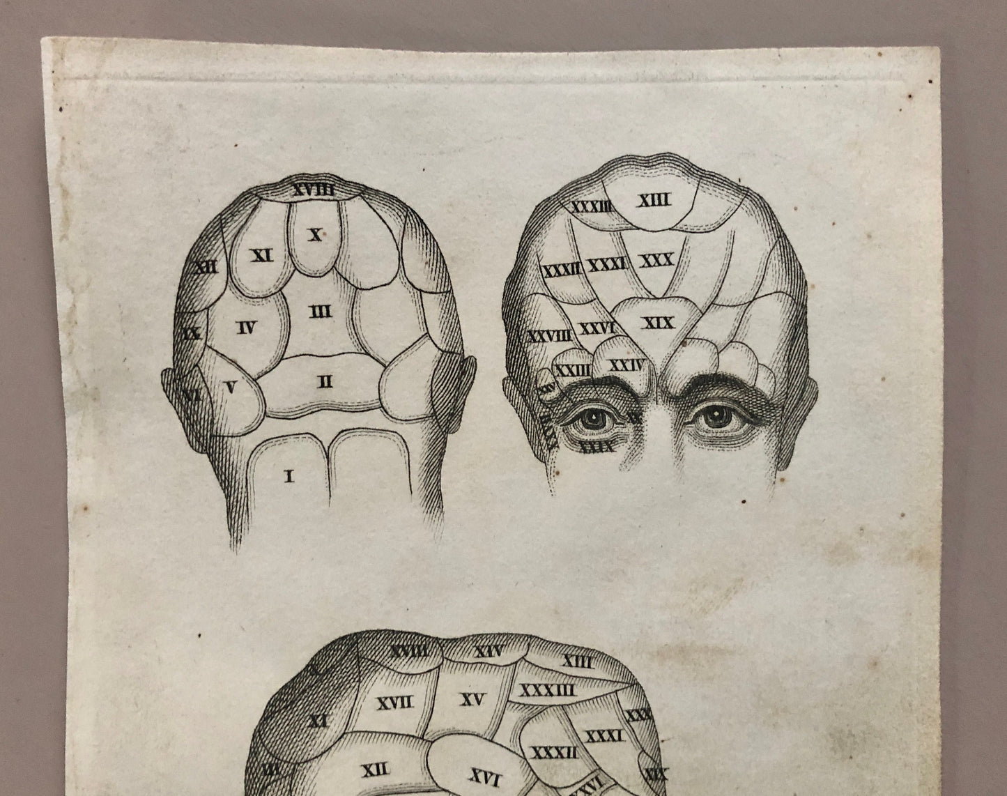 Two Engravings From Craniology Burlesqued in Serio-comic Lectures. Published by Effingham Wilson in 1818. Size: 22.5 x 13 cms.