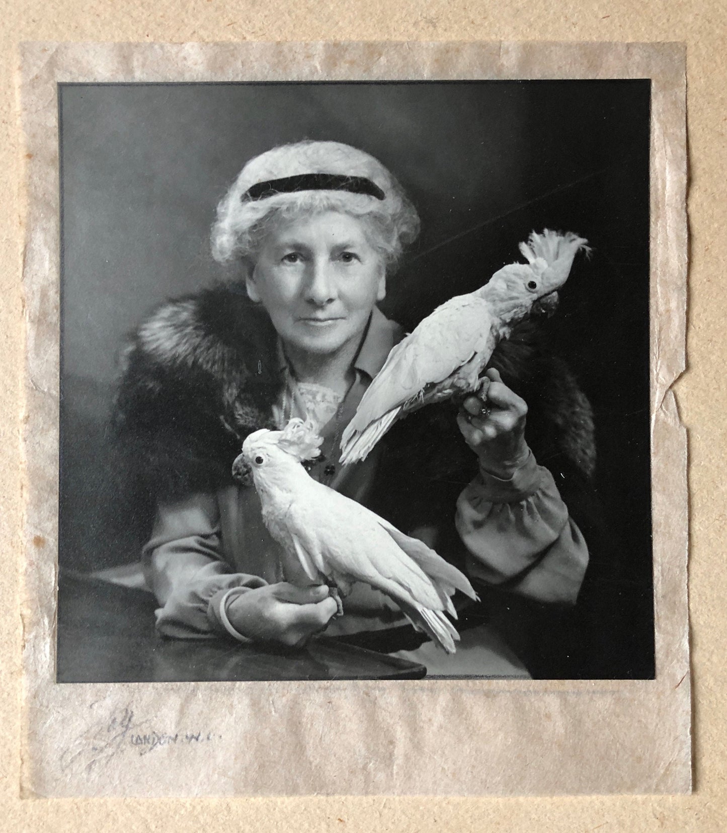 An Original Photograph of Dame Clara Butt with Cockatoos. From the studio of Thomas Fall, Baker Street, London W1. Size 12 x 11.8 cms. 1928.