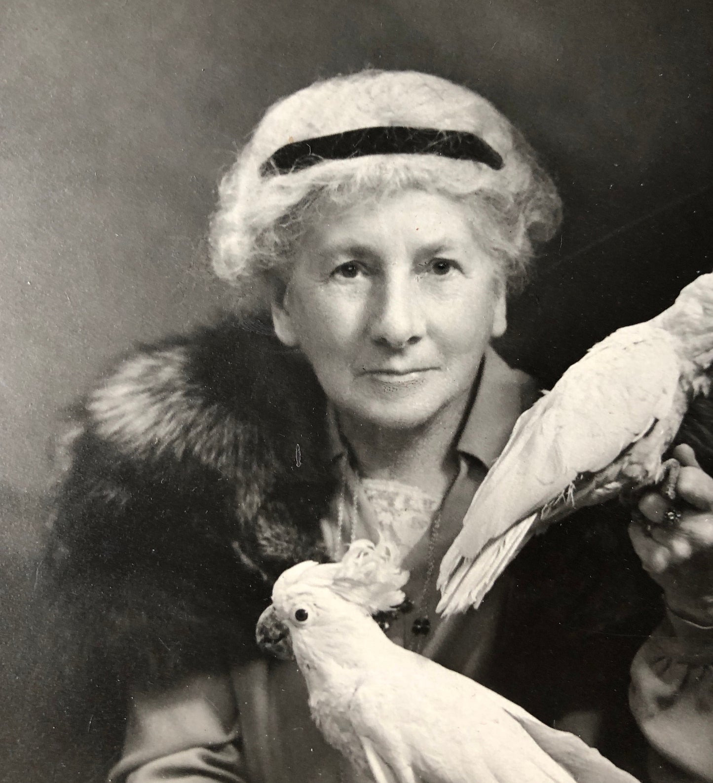 An Original Photograph of Dame Clara Butt with Cockatoos. From the studio of Thomas Fall, Baker Street, London W1. Size 12 x 11.8 cms. 1928.