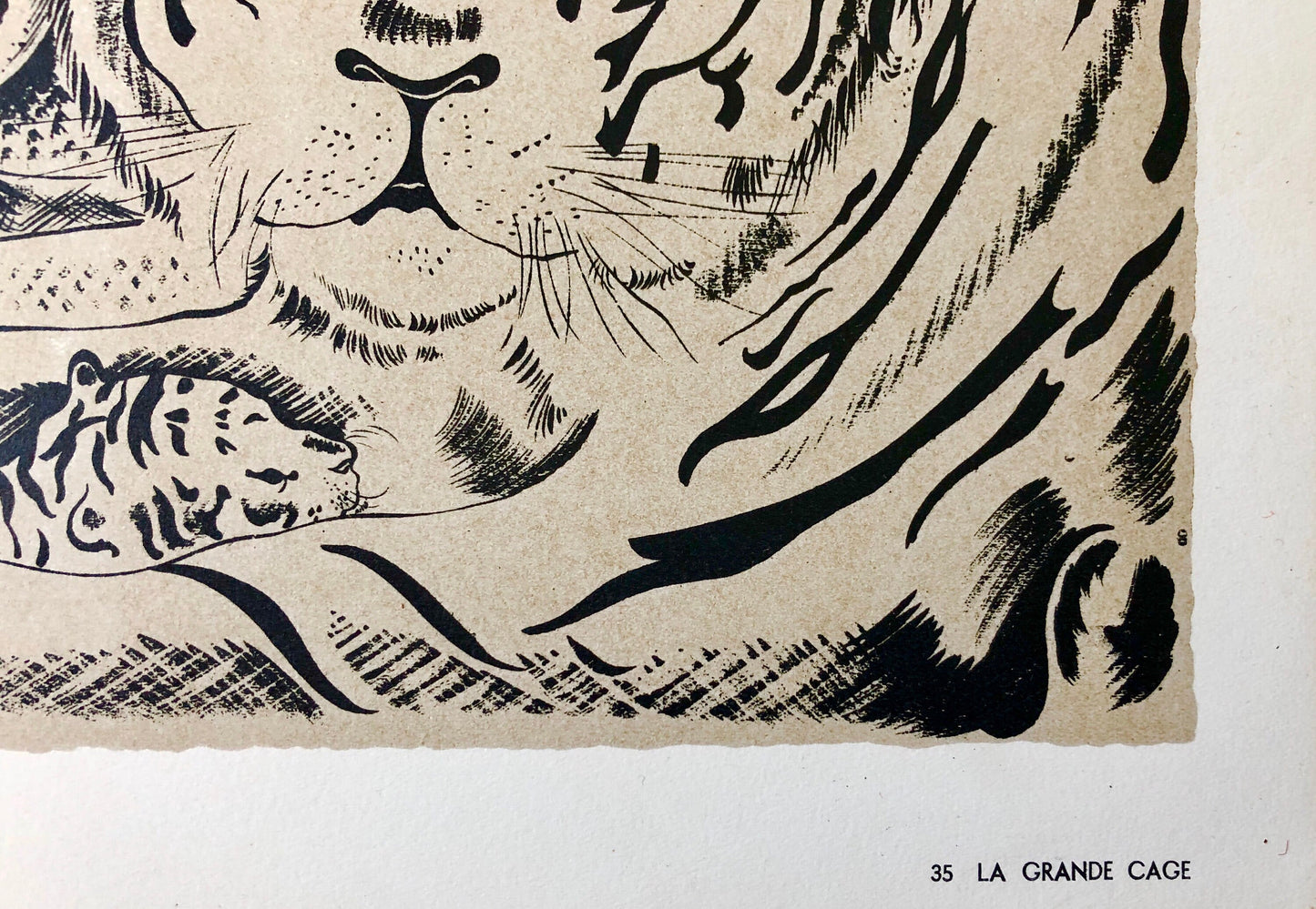 La Grand Cage. A Lithograph From The Parorama Du Cirque by Serge. One of only 1000 produced in 1944. Size: 23.8 x 29.7 cms.
