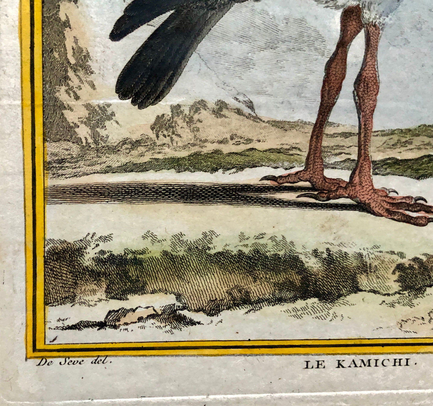 Le Kamichi. Antique Engraving from ‘Histoires Naturelle Des Oiseaux’ by Buffon. Circa 1780. Size: 27 x 19 cms