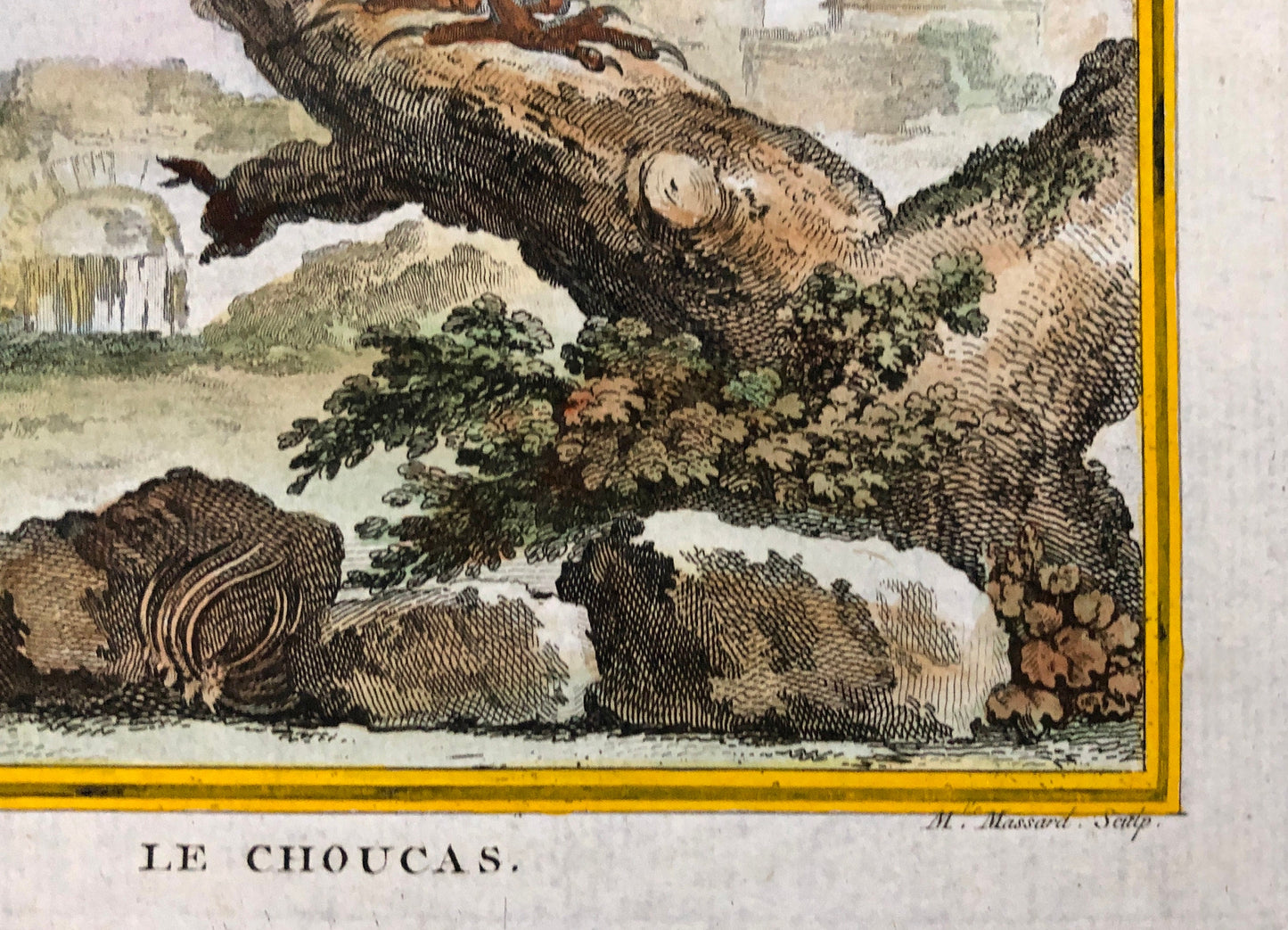 Le Choucas. An Antique Engraving from “Histoire Naturelle Des Oiseaux’ by Buffon. Engraved by Massard. Circa 1770. Size: 19.5 x 15.5 cms.