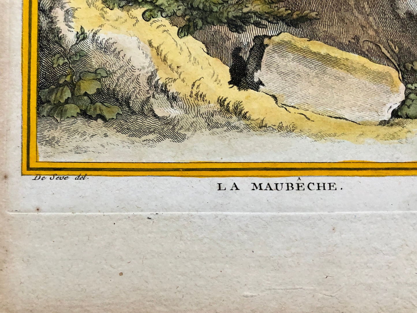 La Maubêche. An Engraving From”Histoire Naturelle Des Oiseaux” by Buffon. Circa 1770. Near Fine Condition. Size: 27 x 19.5 cms