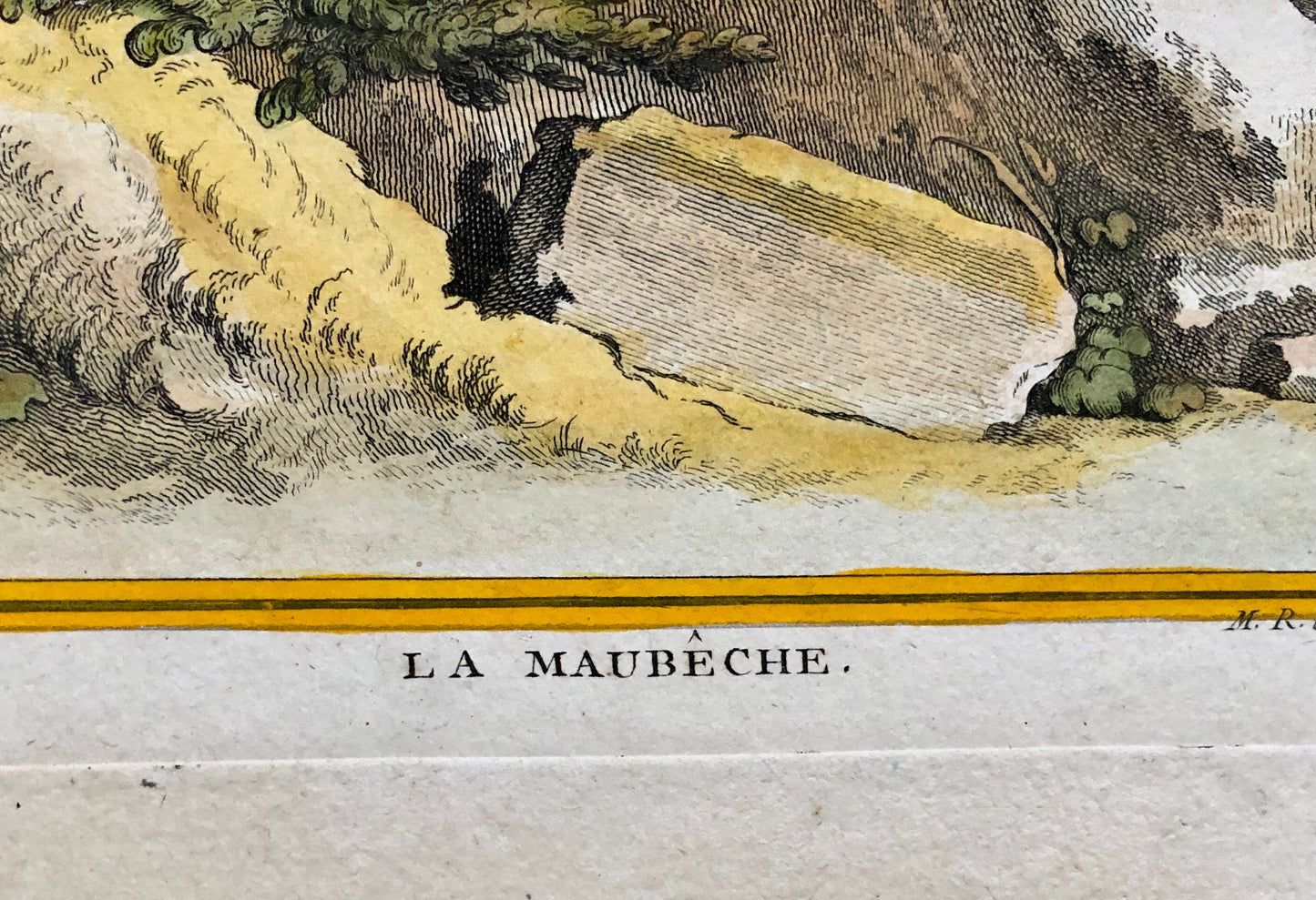 La Maubêche. An Engraving From”Histoire Naturelle Des Oiseaux” by Buffon. Circa 1770. Near Fine Condition. Size: 27 x 19.5 cms