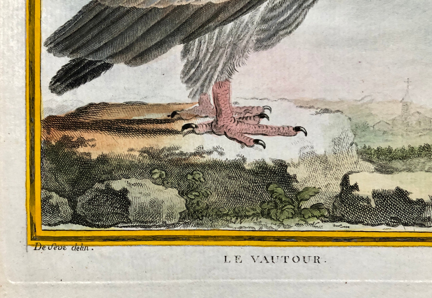 Le Vautour. An Original Engraving From “Histoire Naturelle Des Oiseaux” by Buffon. Circa 1700. Near Fine Condition. Size: 27 x 19.5 cms.