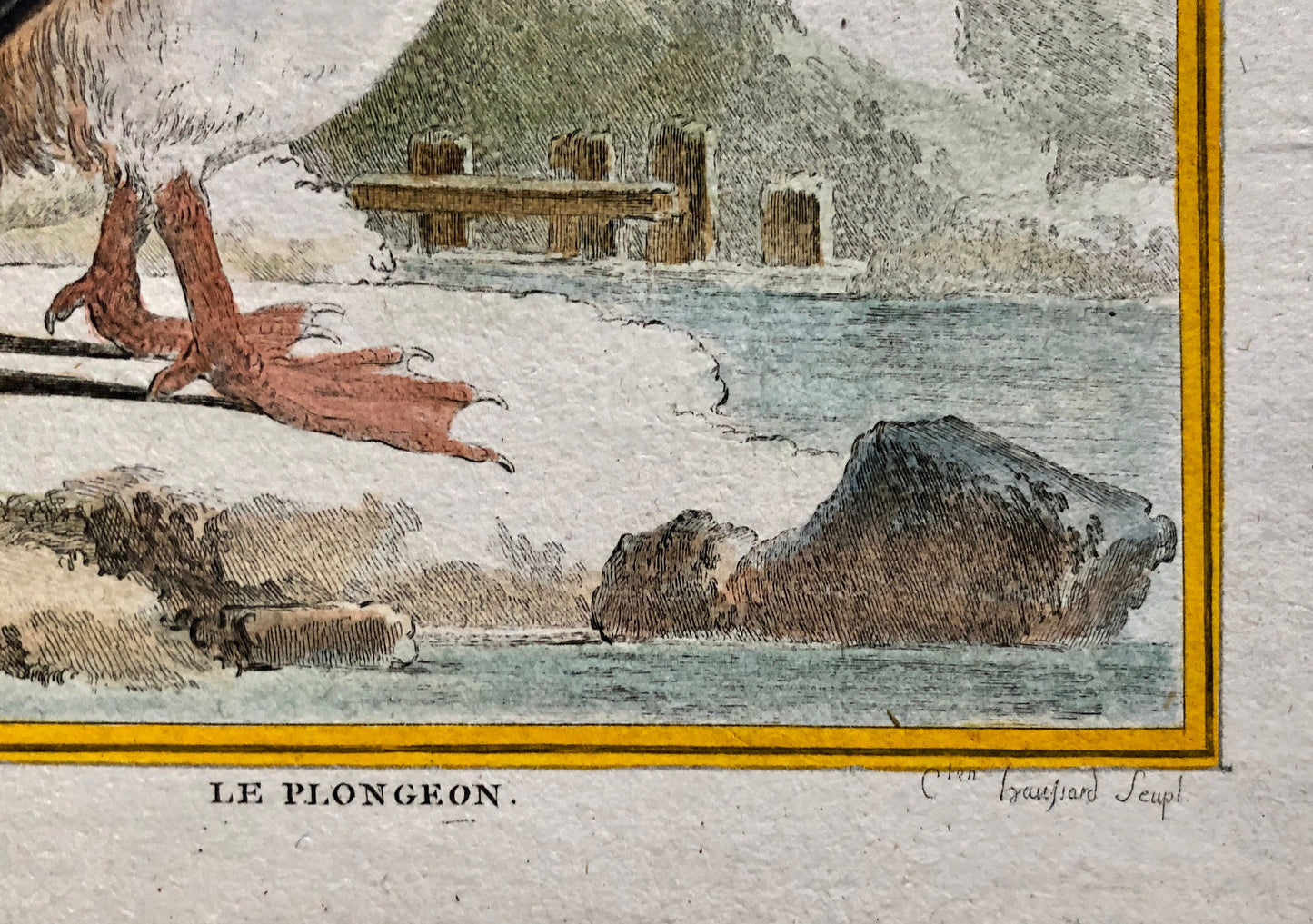 Le Plongeon. A Hand-coloured Engraving From “Histoire Naturelle Des Oiseaux” by Buffon. Excellent Condition. Size: 27 x 19 cms.