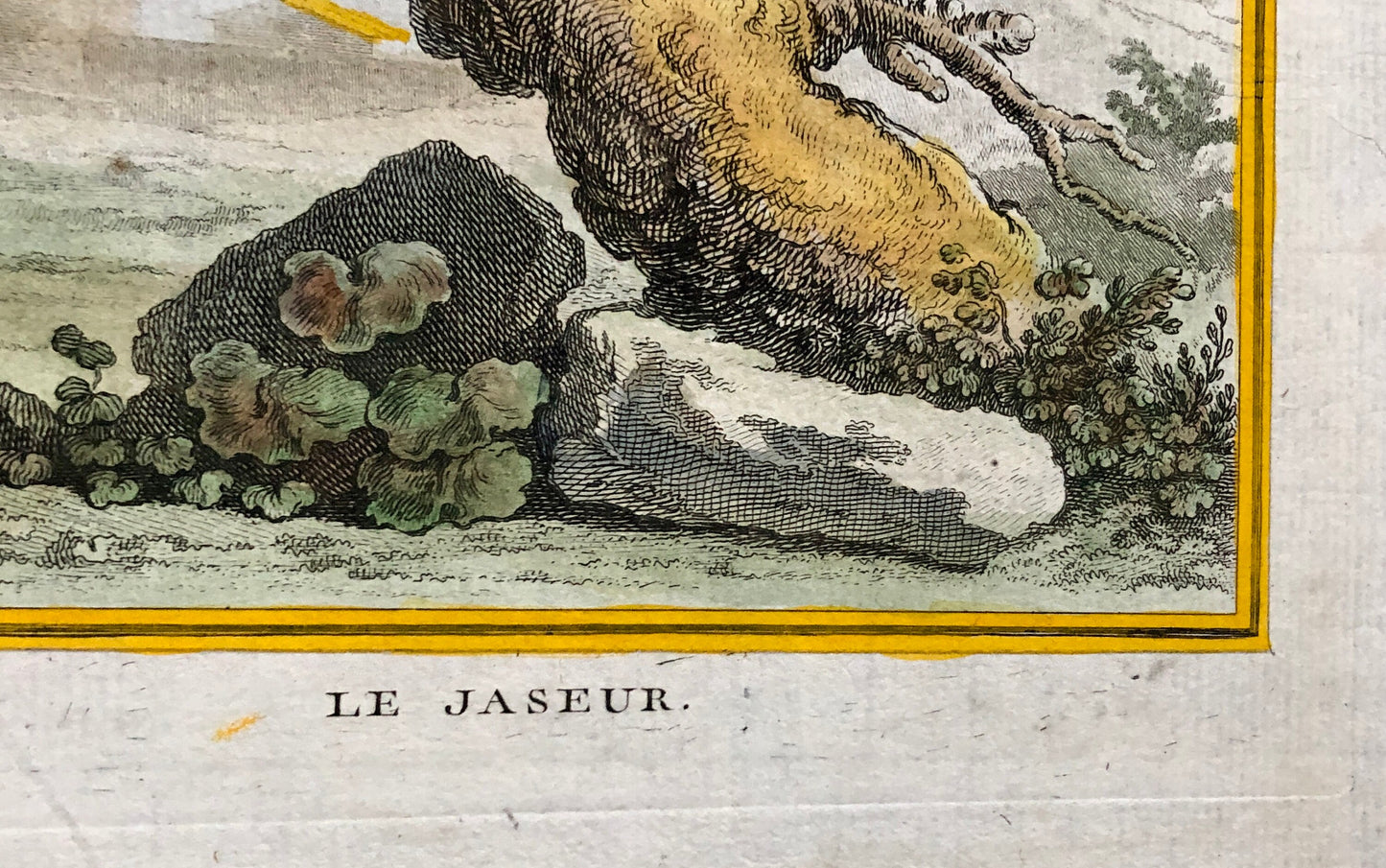 Le Jaseur. The Waxwing. An Original Engraving From ‘Histoire Naturelle Des Oiseaux’ by Buffon. Excellent Condition. Size: 27 x 20 cms.