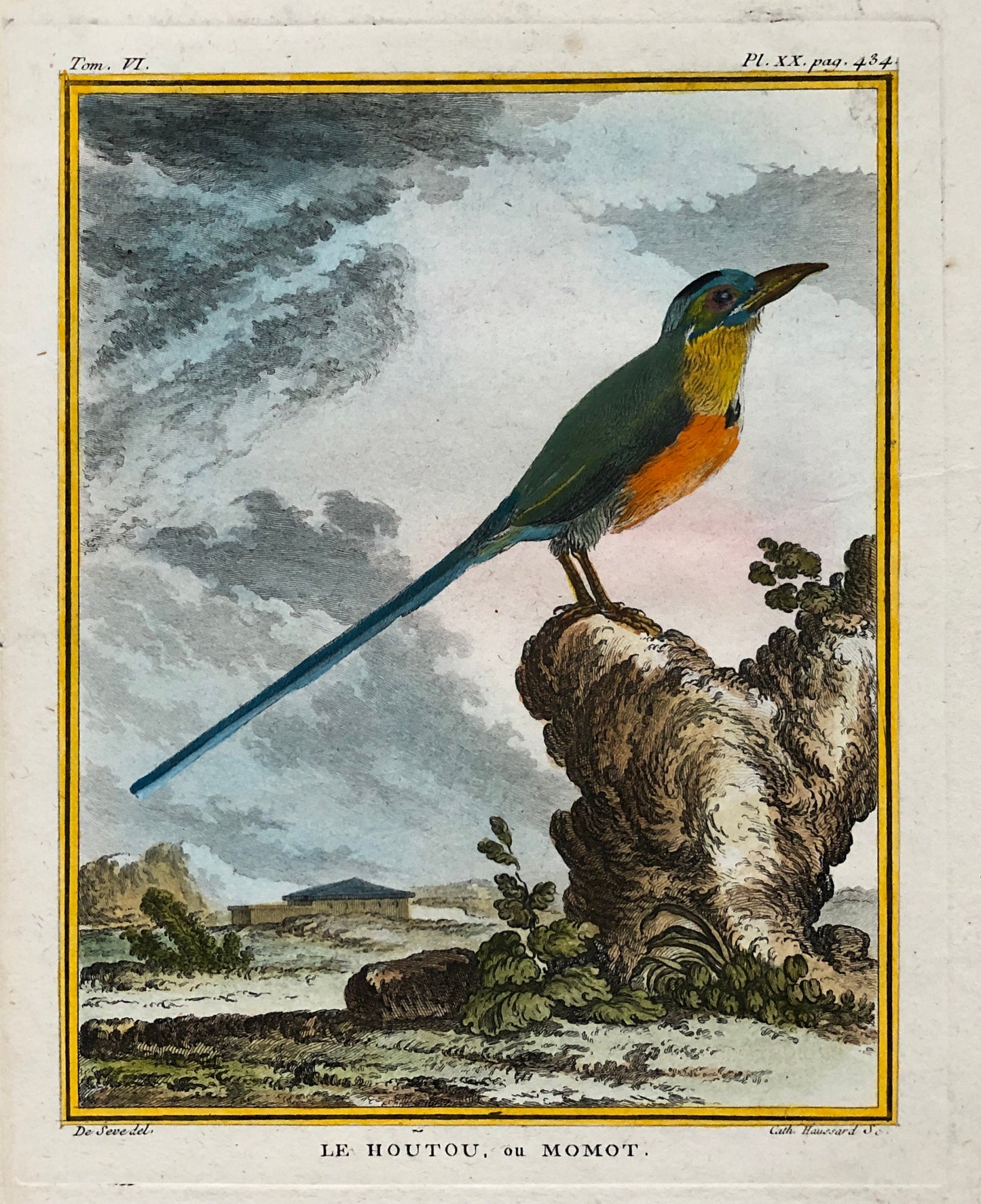 Le Houtou. An Engraving From ‘Histoire Naturelle Des Oiseaux’ by Buffon. Circa 1770. Fine Condition. Size: 26.6 x 21 cms.
