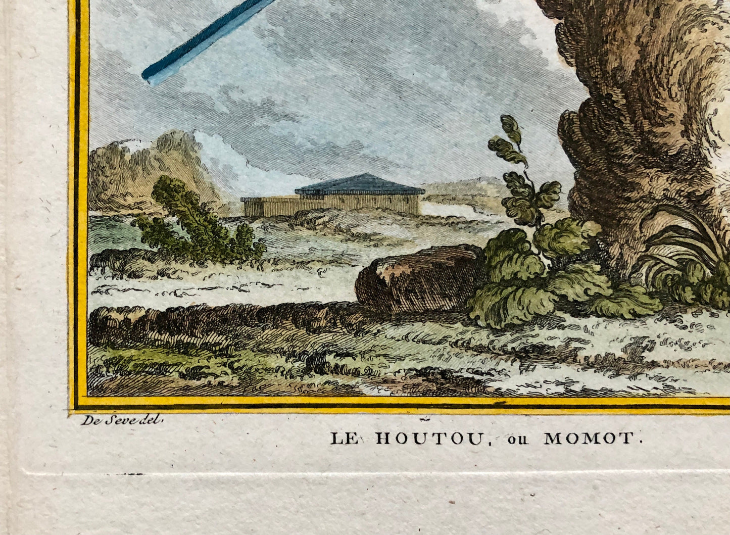 Le Houtou. An Engraving From ‘Histoire Naturelle Des Oiseaux’ by Buffon. Circa 1770. Fine Condition. Size: 26.6 x 21 cms.