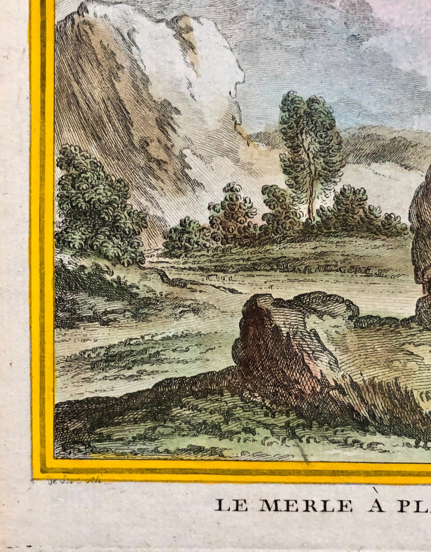 Le Merle. An Antique Engraving from “Histoire Naturelle Des Oiseaux’ by Buffon. Circa 1770. Fine Condition. Size: 27 x 19.4 cms.