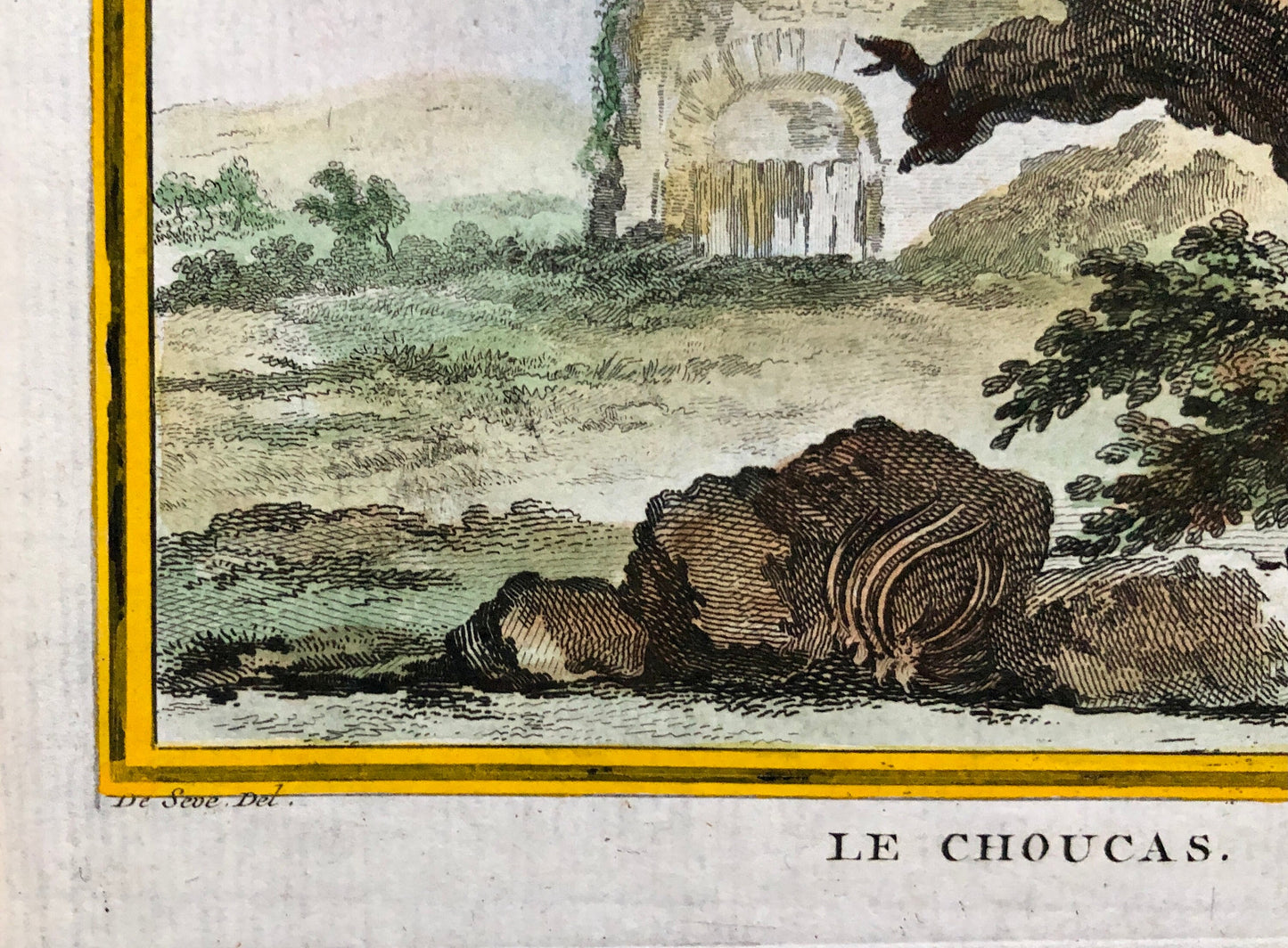 Le Choucas. An Antique Engraving from “Histoire Naturelle Des Oiseaux’ by Buffon. Engraved by Massard. Circa 1770. Size: 19.5 x 15.5 cms.