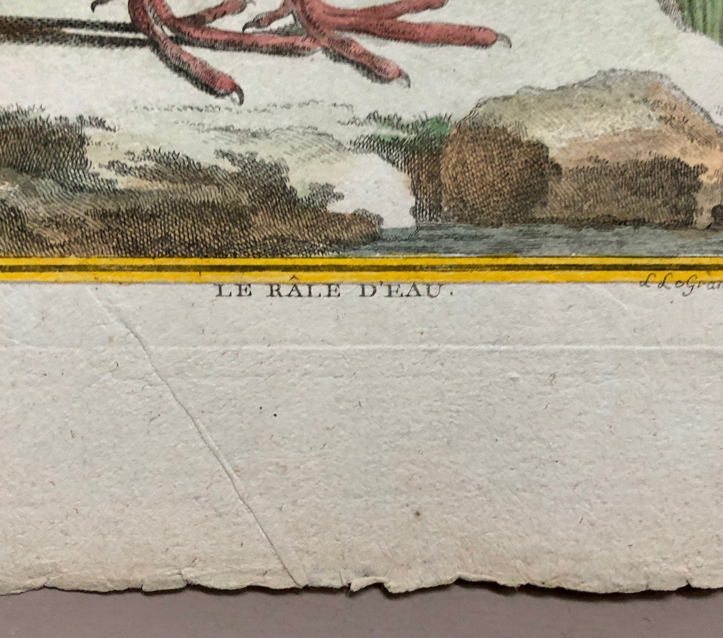 Le Râle D’Eau. An Original Hand Coloured Engraving from ‘Histoire Naturelles D’Oiseaux by Buffon. Size: 27 x 19.5 cms. C. 1780