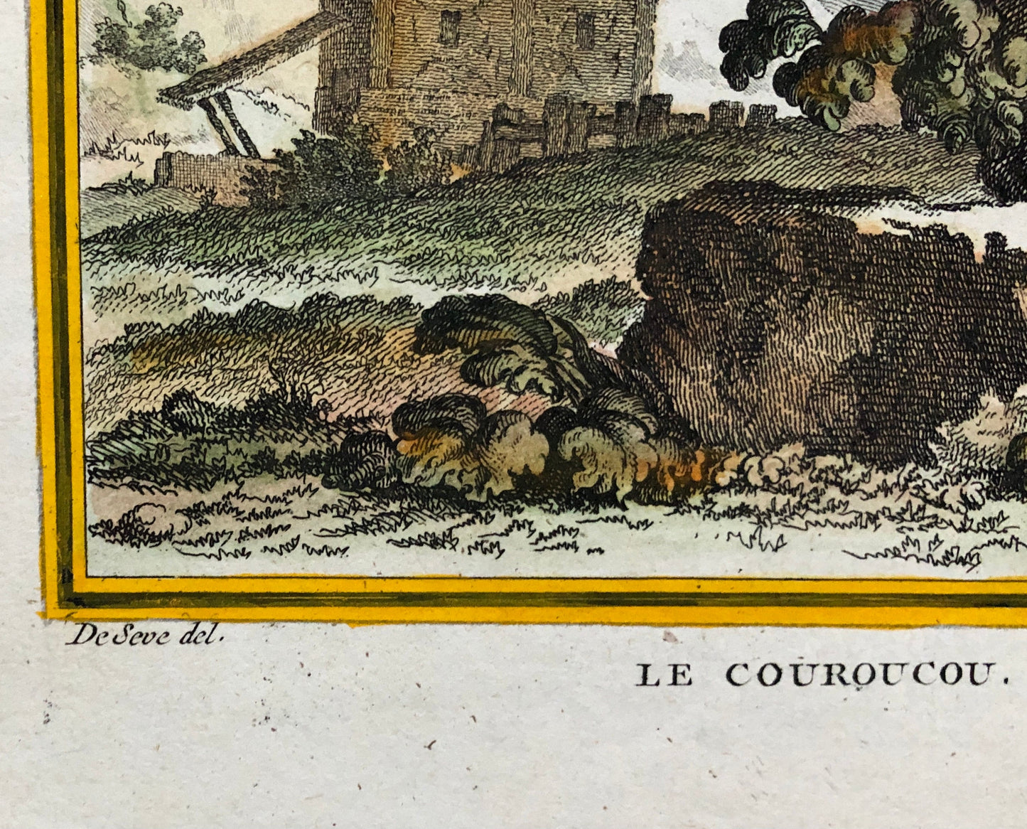 Le Couroucou. An Original Hand-coloured Engraving From ‘Histoire Naturelle Des Oiseaux’ by Buffon. FineCondition. Size: 27 x 19.2 cms.