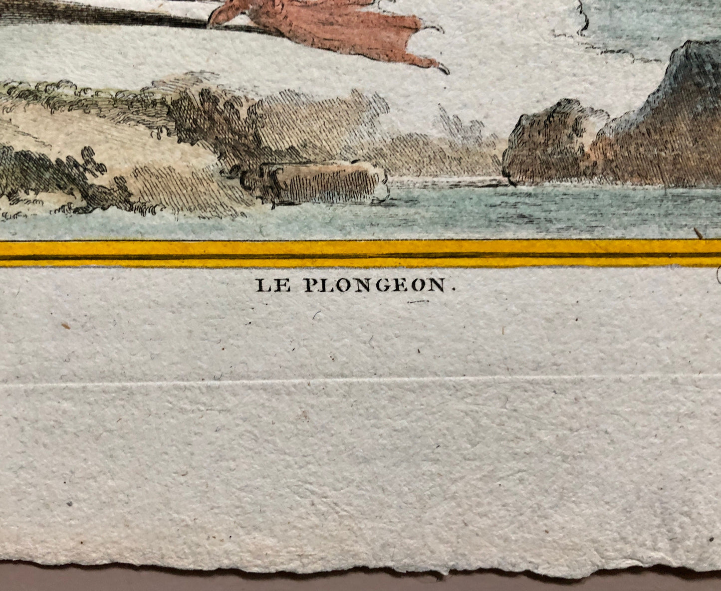 Le Plongeon. A Hand-coloured Engraving From “Histoire Naturelle Des Oiseaux” by Buffon. Excellent Condition. Size: 27 x 19 cms.