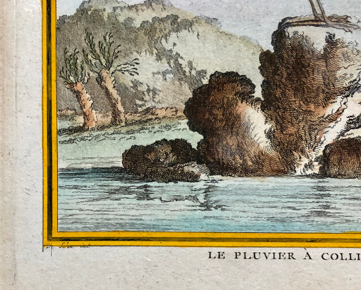 Le Pluvier À Collier. An Engraving From ‘Histoire Naturelle Des Oiseaux’ by Buffon. Circa 1770. Fine Condition. Size: 27 x 21 cms.