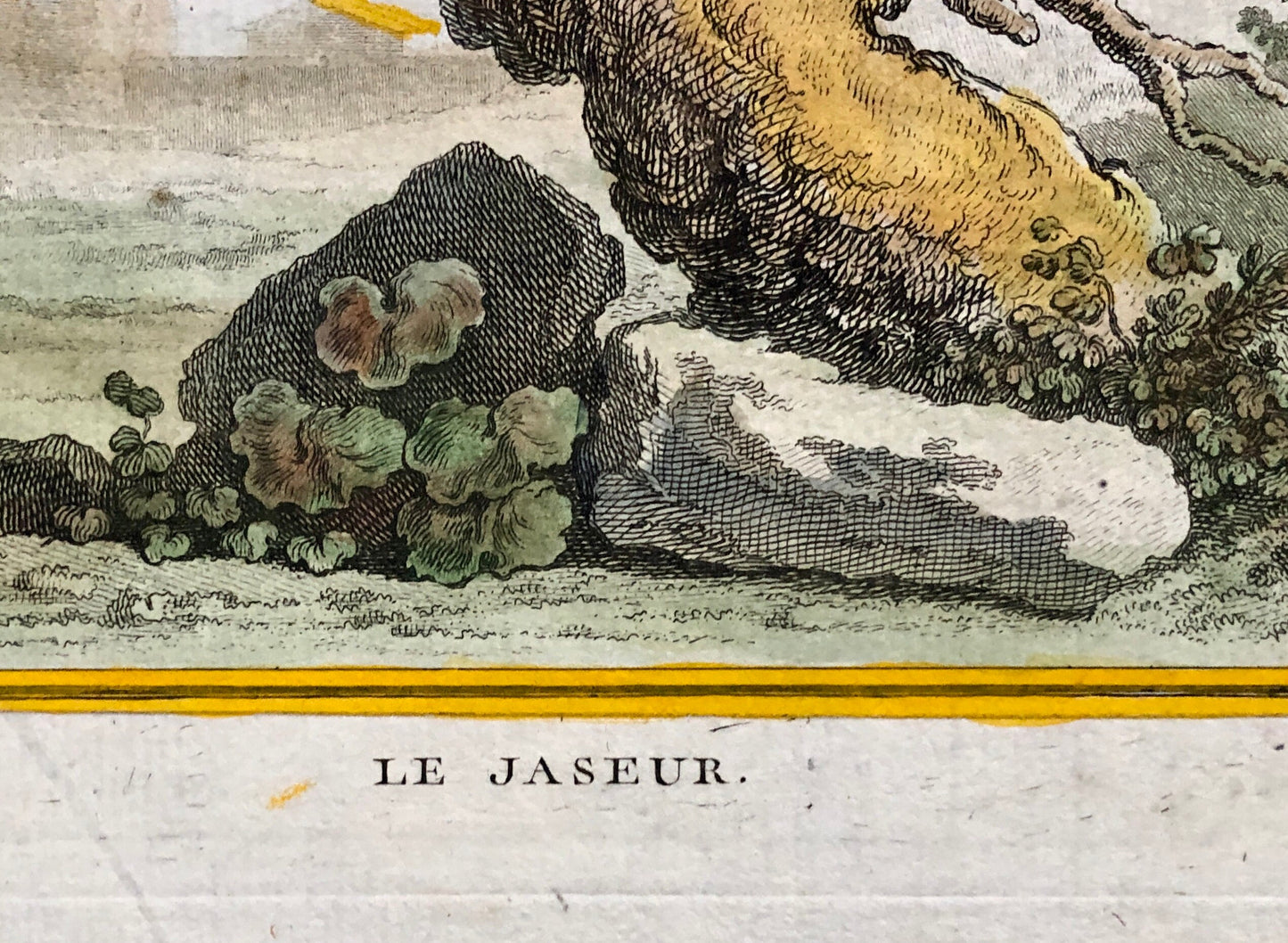 Le Jaseur. The Waxwing. An Original Engraving From ‘Histoire Naturelle Des Oiseaux’ by Buffon. Excellent Condition. Size: 27 x 20 cms.