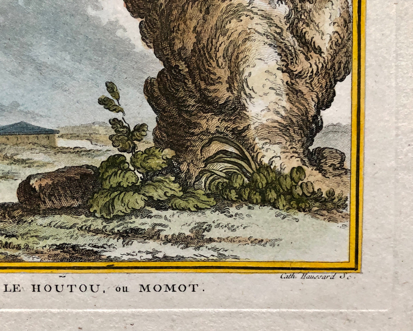 Le Houtou. An Engraving From ‘Histoire Naturelle Des Oiseaux’ by Buffon. Circa 1770. Fine Condition. Size: 26.6 x 21 cms.