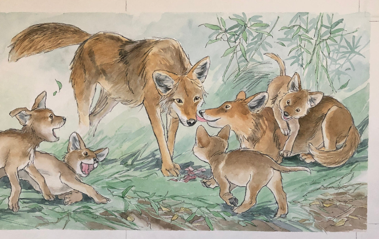 An Original Artwork by Barbra Firth for Walker Books. We Heard The Coyotes Sing. Watercolour. Size: 30.5 x 61 cms.