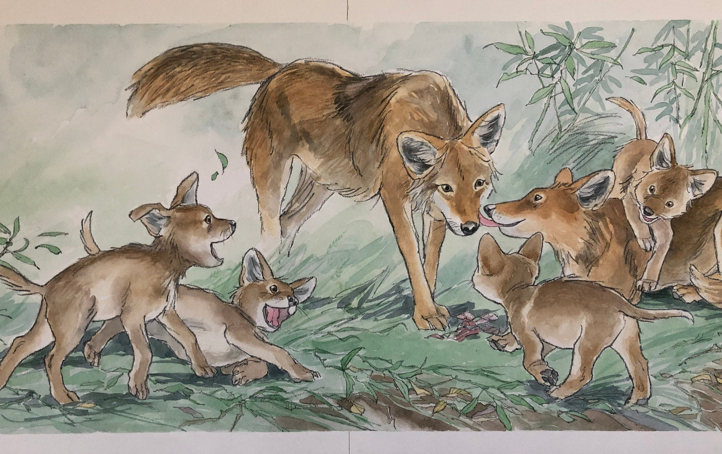 An Original Artwork by Barbra Firth for Walker Books. We Heard The Coyotes Sing. Watercolour. Size: 30.5 x 61 cms.