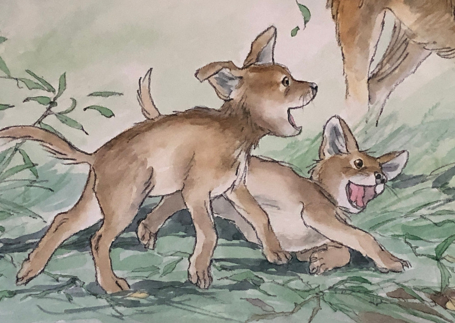 An Original Artwork by Barbra Firth for Walker Books. We Heard The Coyotes Sing. Watercolour. Size: 30.5 x 61 cms.