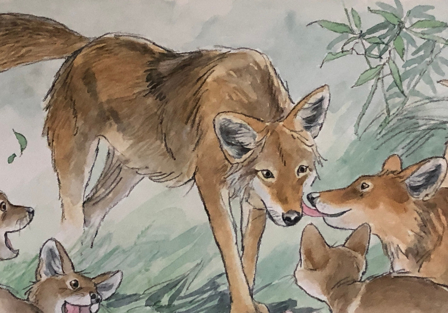An Original Artwork by Barbra Firth for Walker Books. We Heard The Coyotes Sing. Watercolour. Size: 30.5 x 61 cms.
