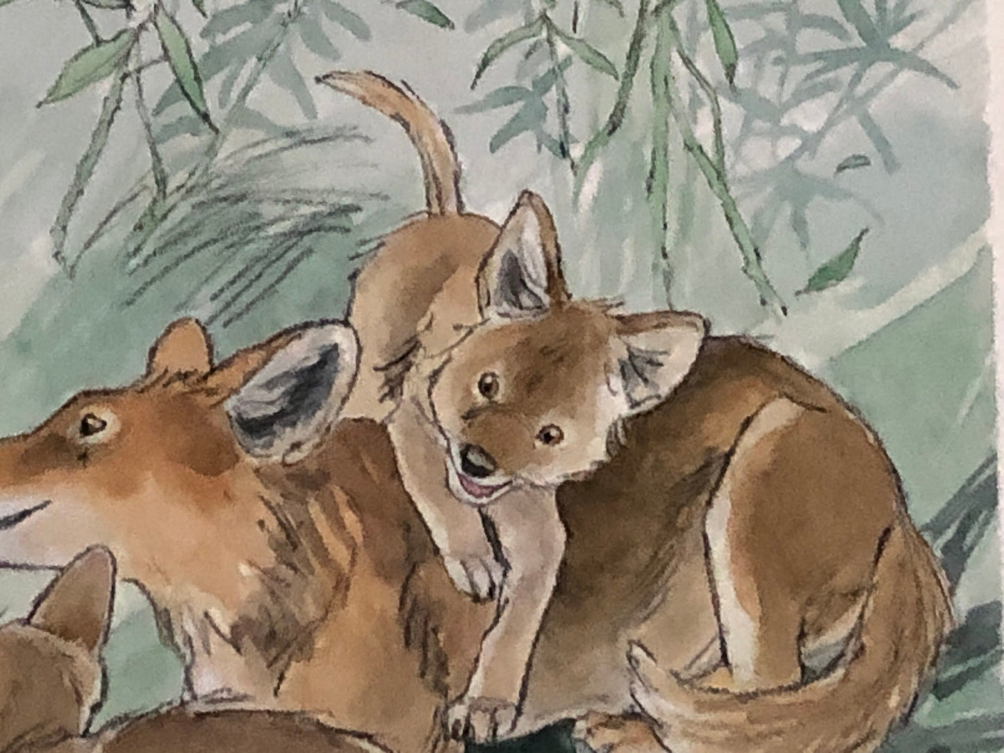 An Original Artwork by Barbra Firth for Walker Books. We Heard The Coyotes Sing. Watercolour. Size: 30.5 x 61 cms.