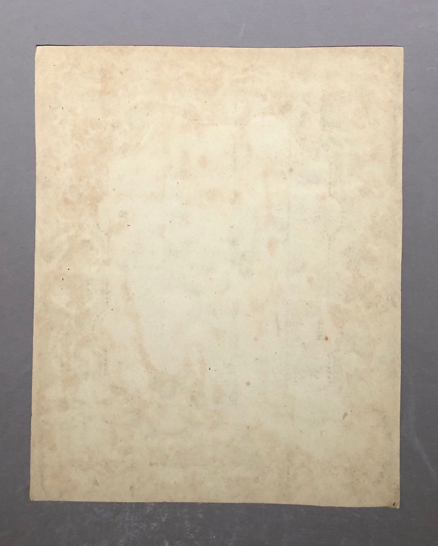 An Original Georgian Découpage. Watercolour Leaves and Flowers on An Embossed Paper Ground. Size: 23 x 19 cms.