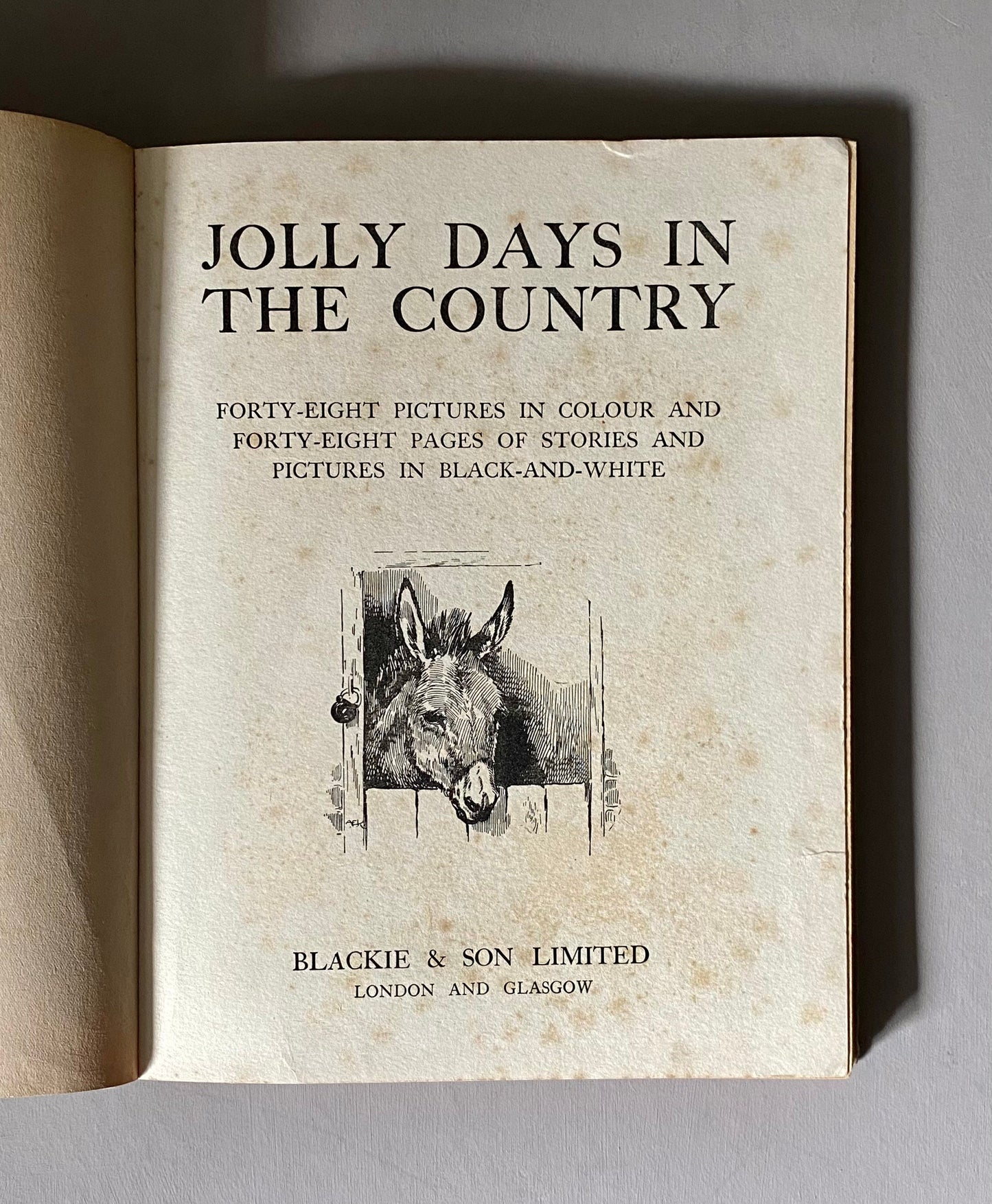 Jolly Days In The Country. By Blackie & Son. Published in 1938. With 48 full page Pictures in Colour By Well Known Artists. Size: 29 x 23.