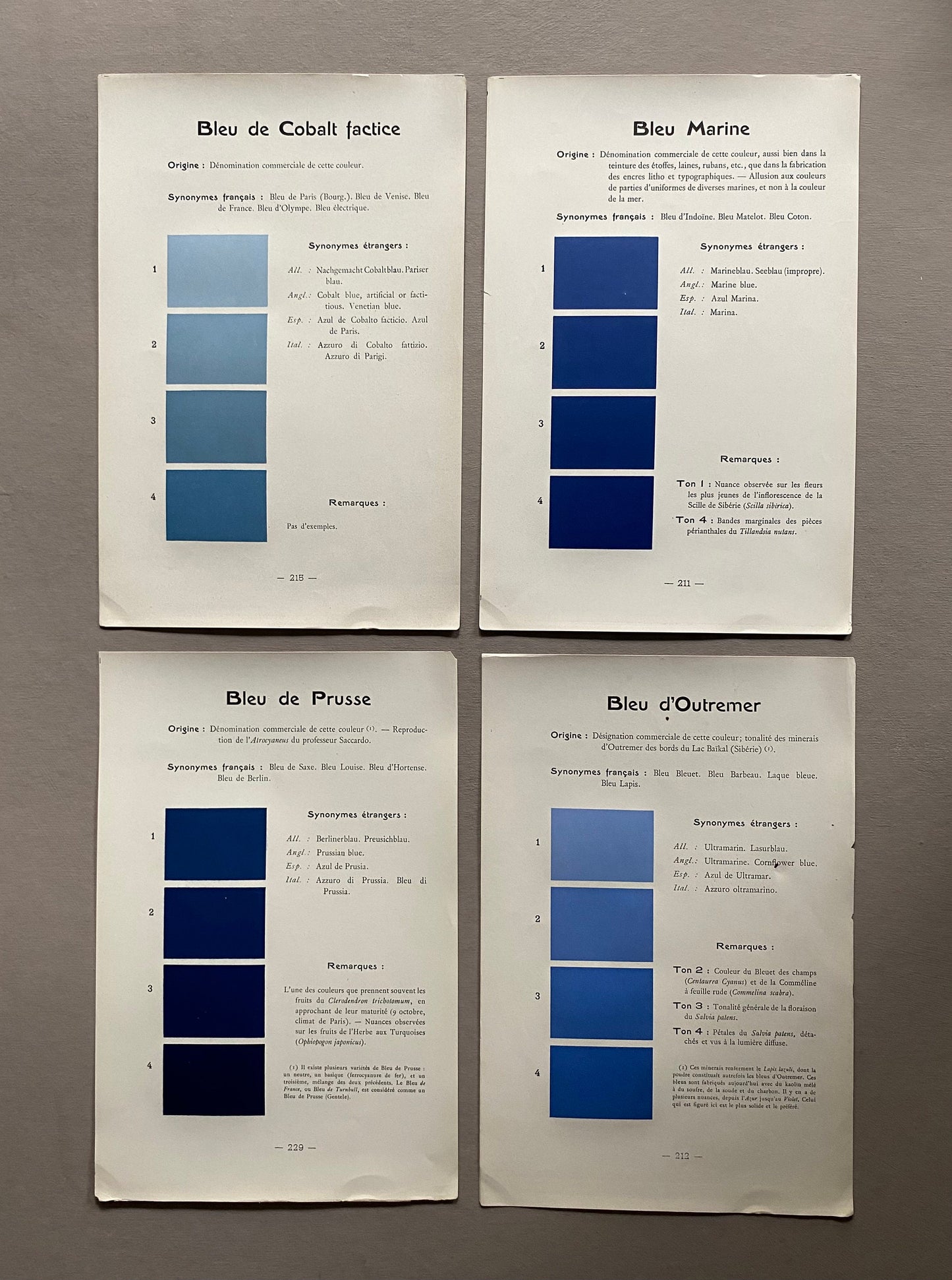 Blue. Colour Charts. Four Plates From Le Repetoire Des Planches by Dauthenay. French. Published in 1909. 24 x 16 cms each.
