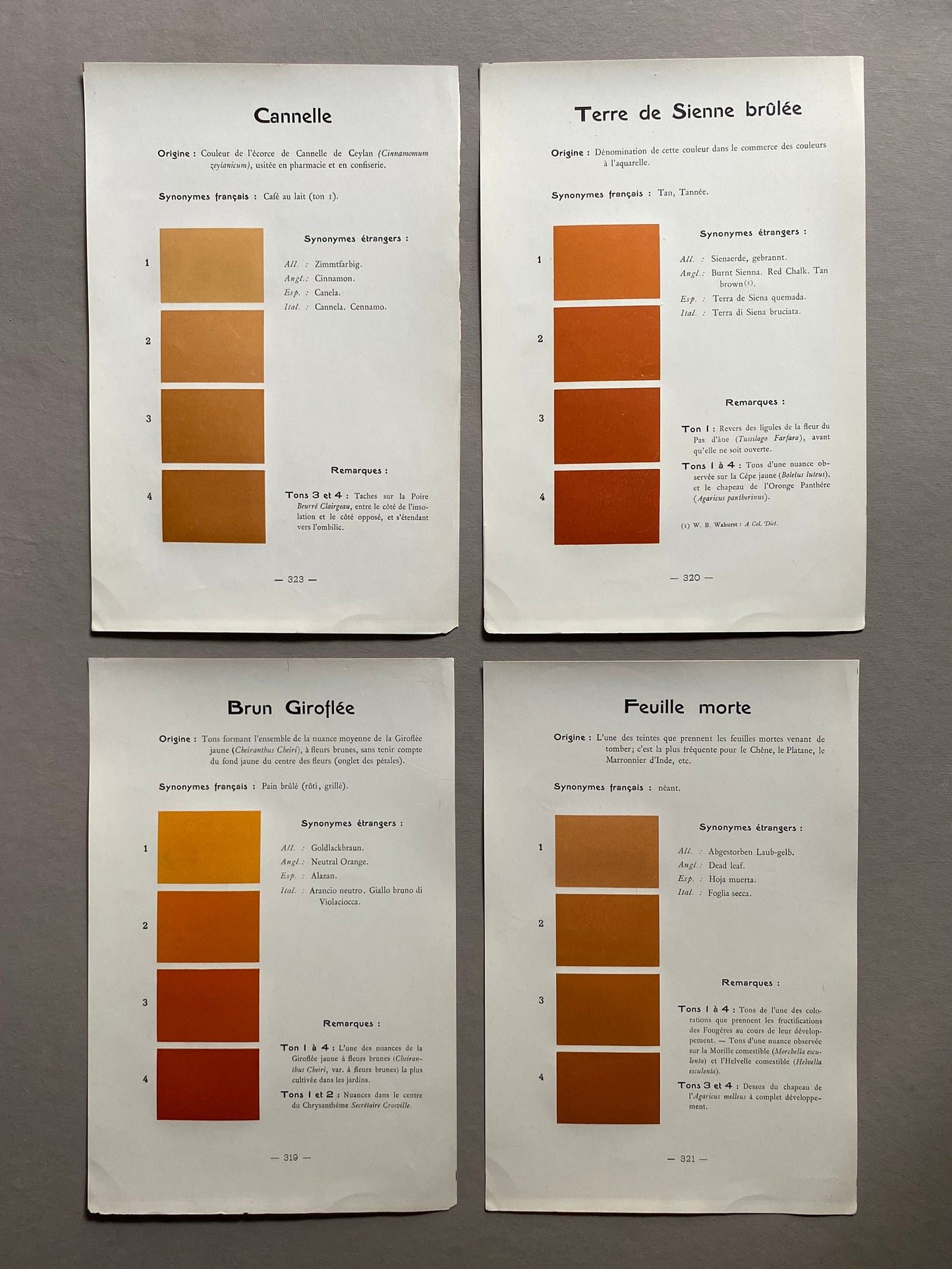 Orange/Brown/Terracotta. Colour Charts. Four Plates From Le Repetoire Des Planches by Dauthenay. French. Published in 1909. 24 x 16 cms.