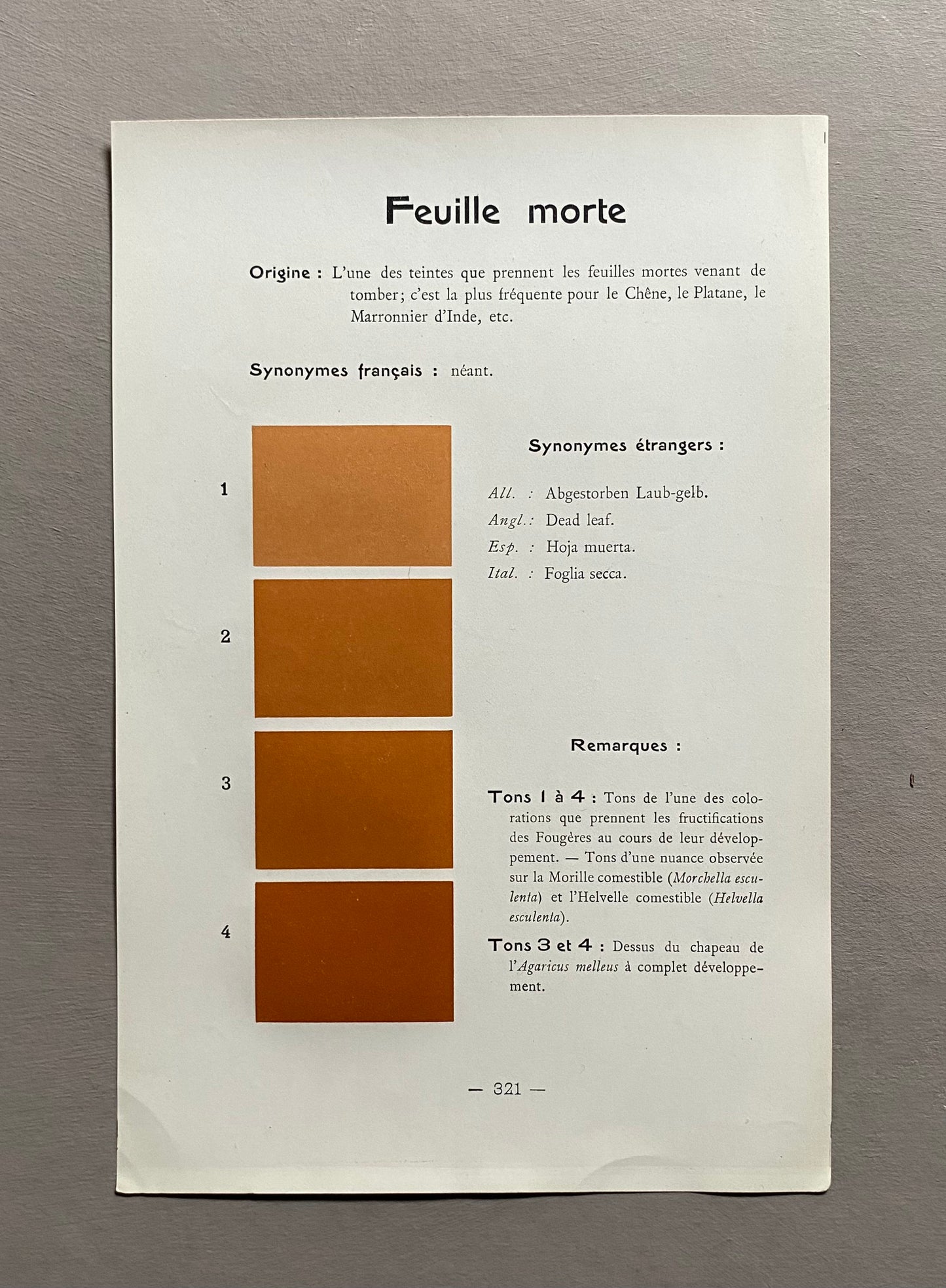 Orange/Brown/Terracotta. Colour Charts. Four Plates From Le Repetoire Des Planches by Dauthenay. French. Published in 1909. 24 x 16 cms.
